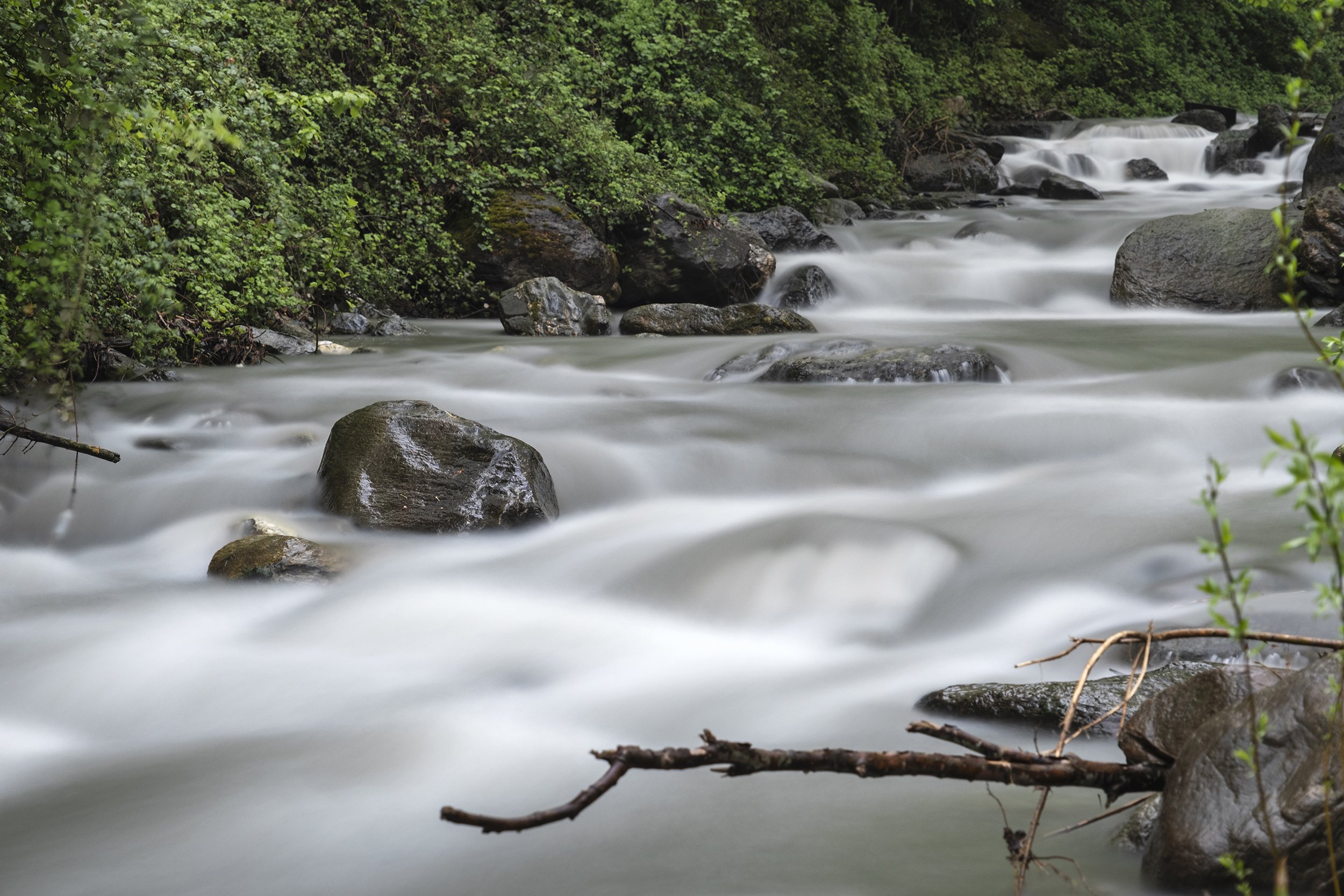 Nature VII
