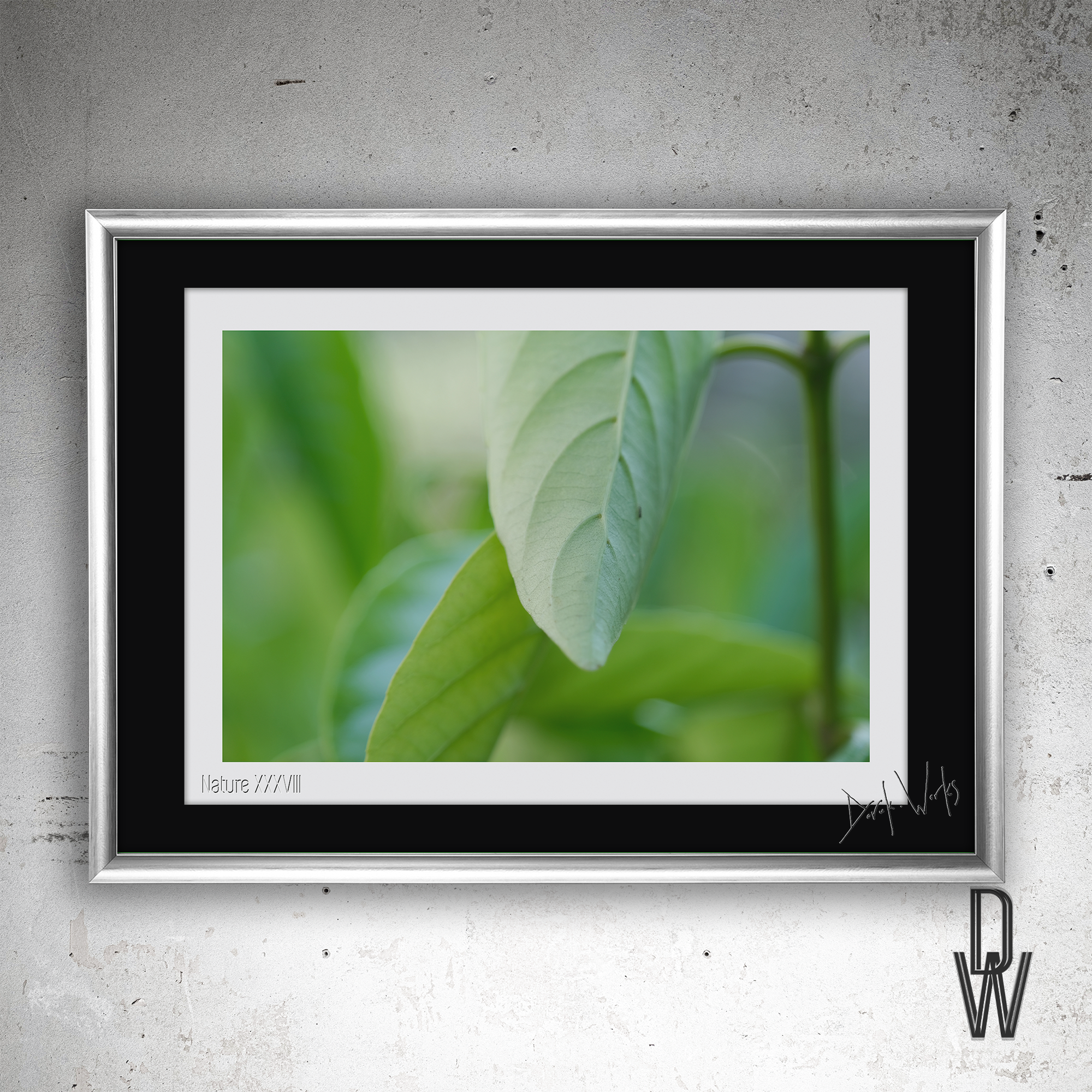 Nature XXXVIII frame wall.png