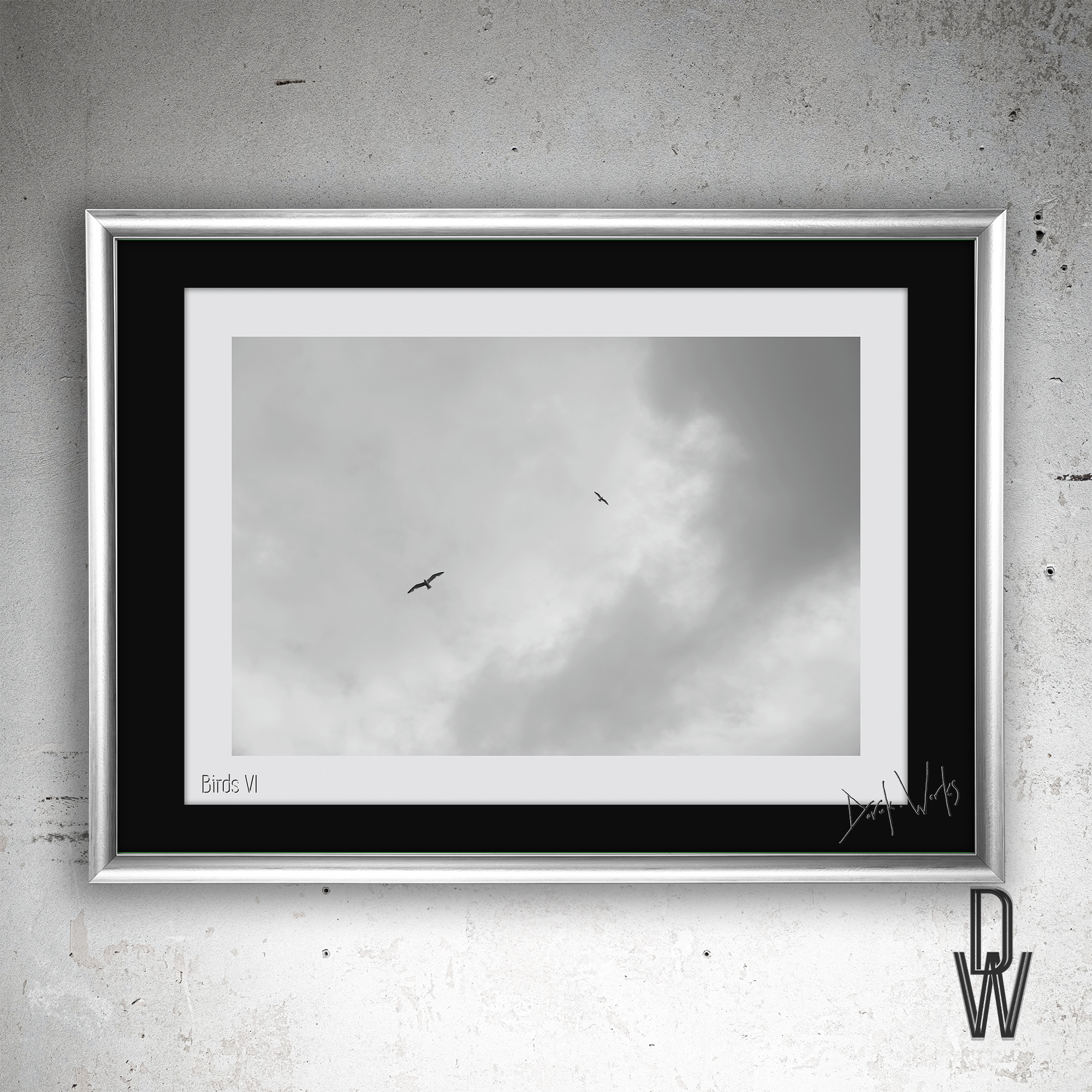 Birds VI frame wall.png