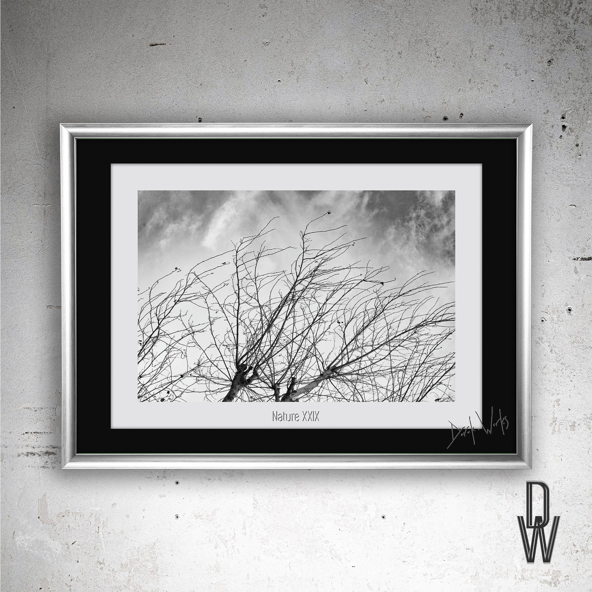 Nature XXIX frame wall.png