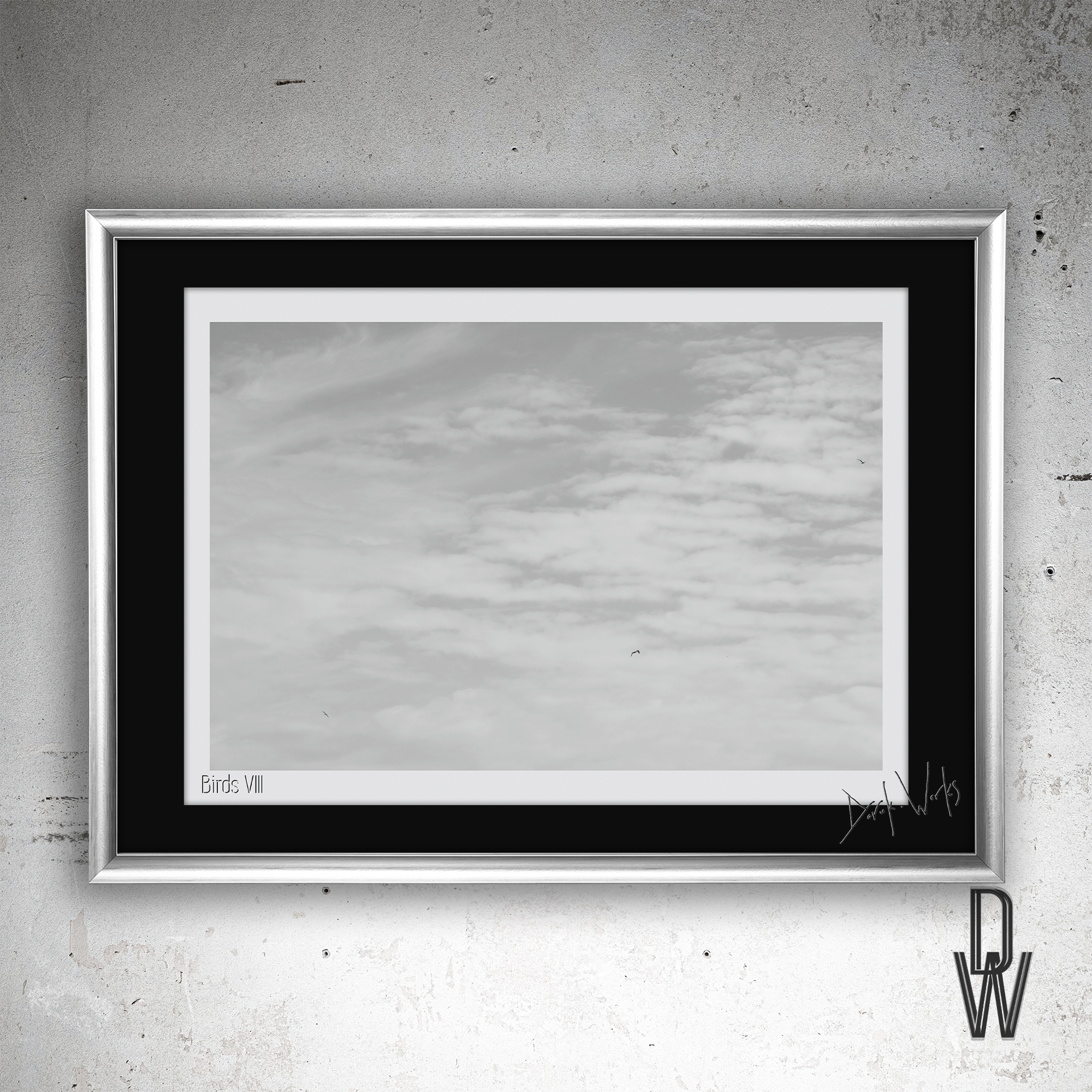 Birds VIII frame wall.png