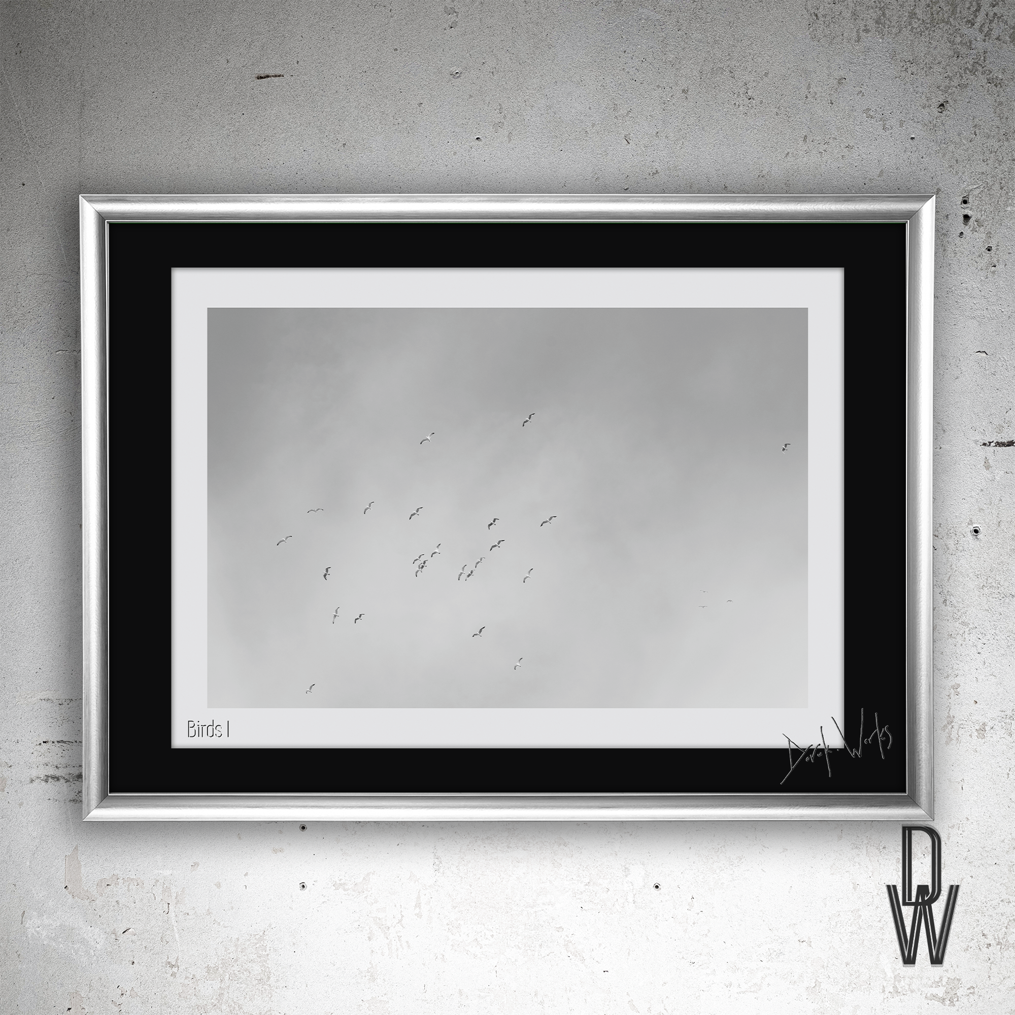 Birds I frame wall.png