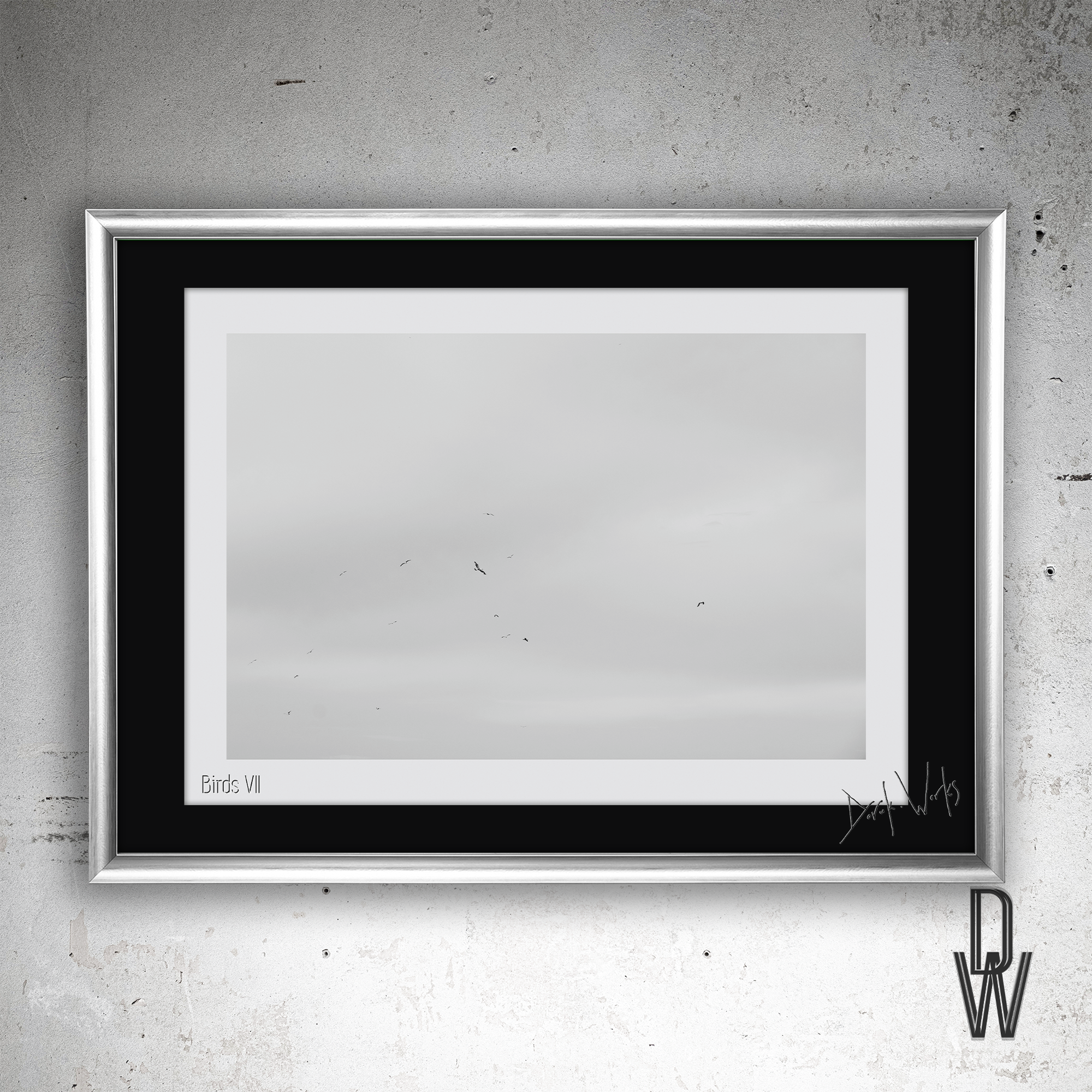 Birds VII frame wall.png