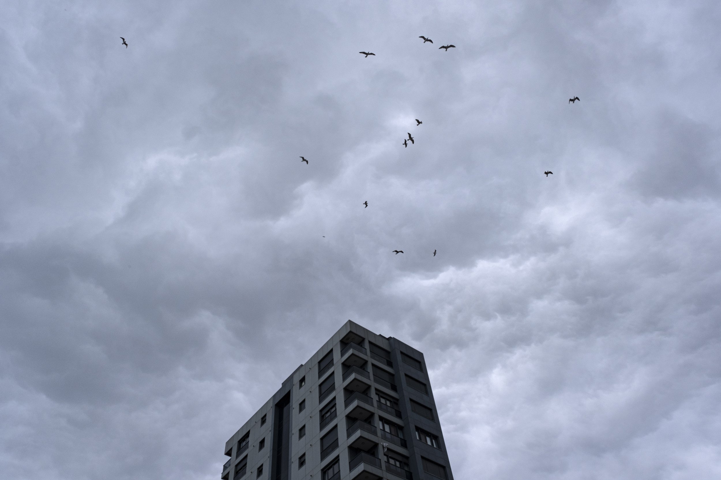 Urban Living 3