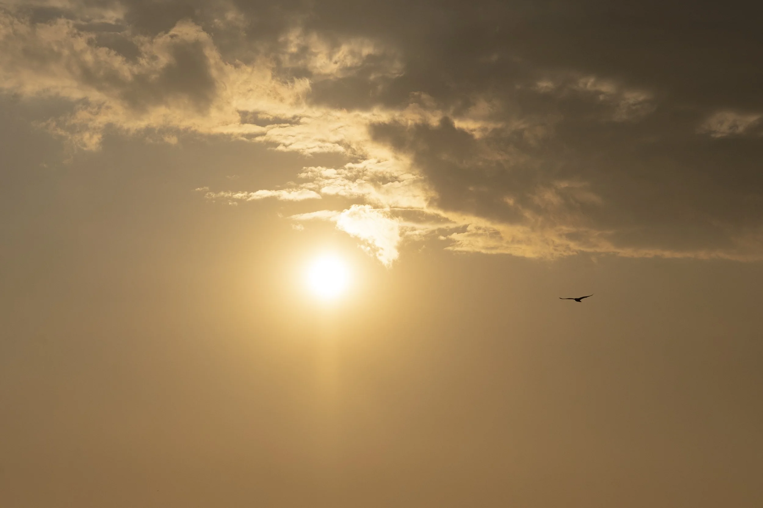 Sunset 1