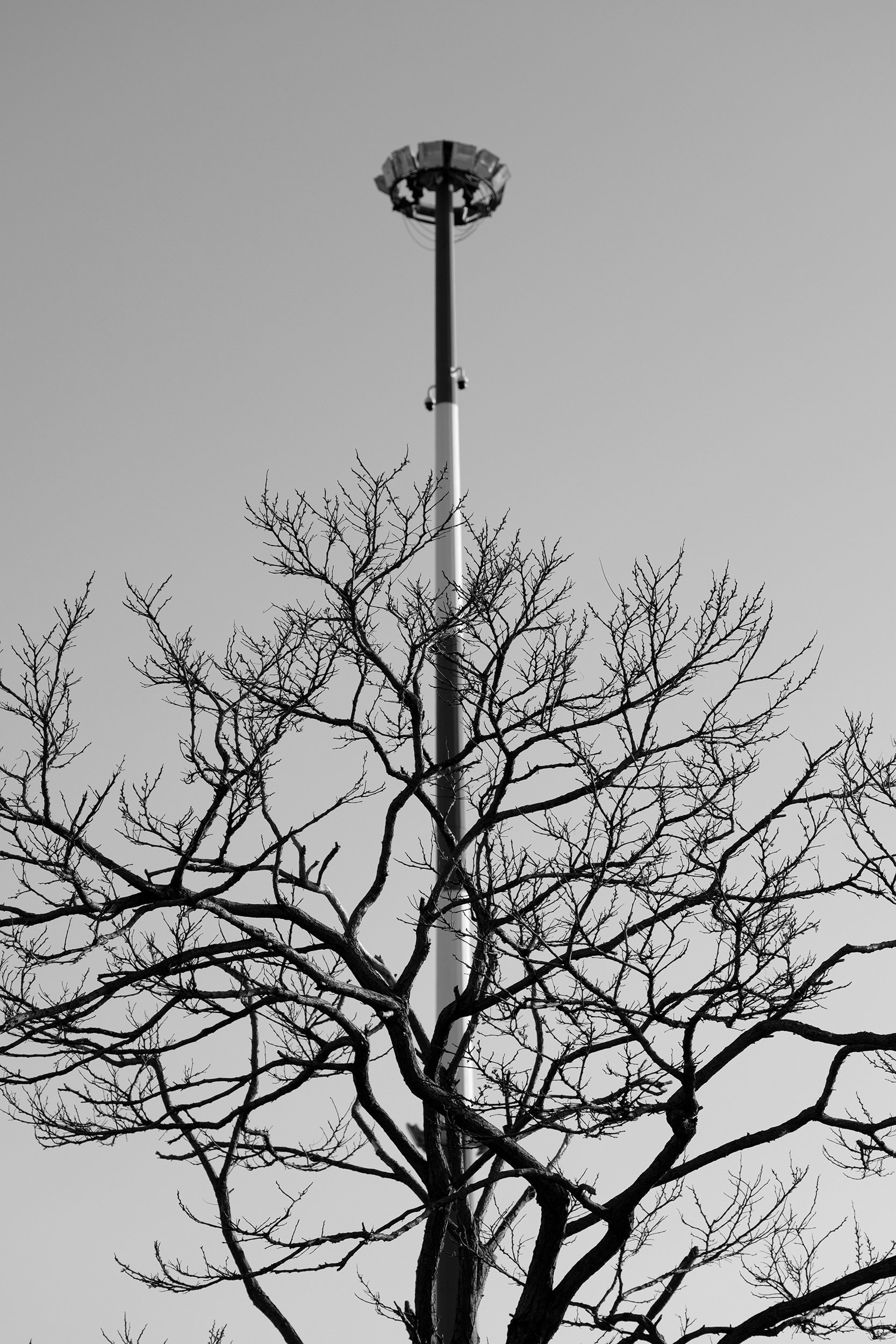 Urban Living 7