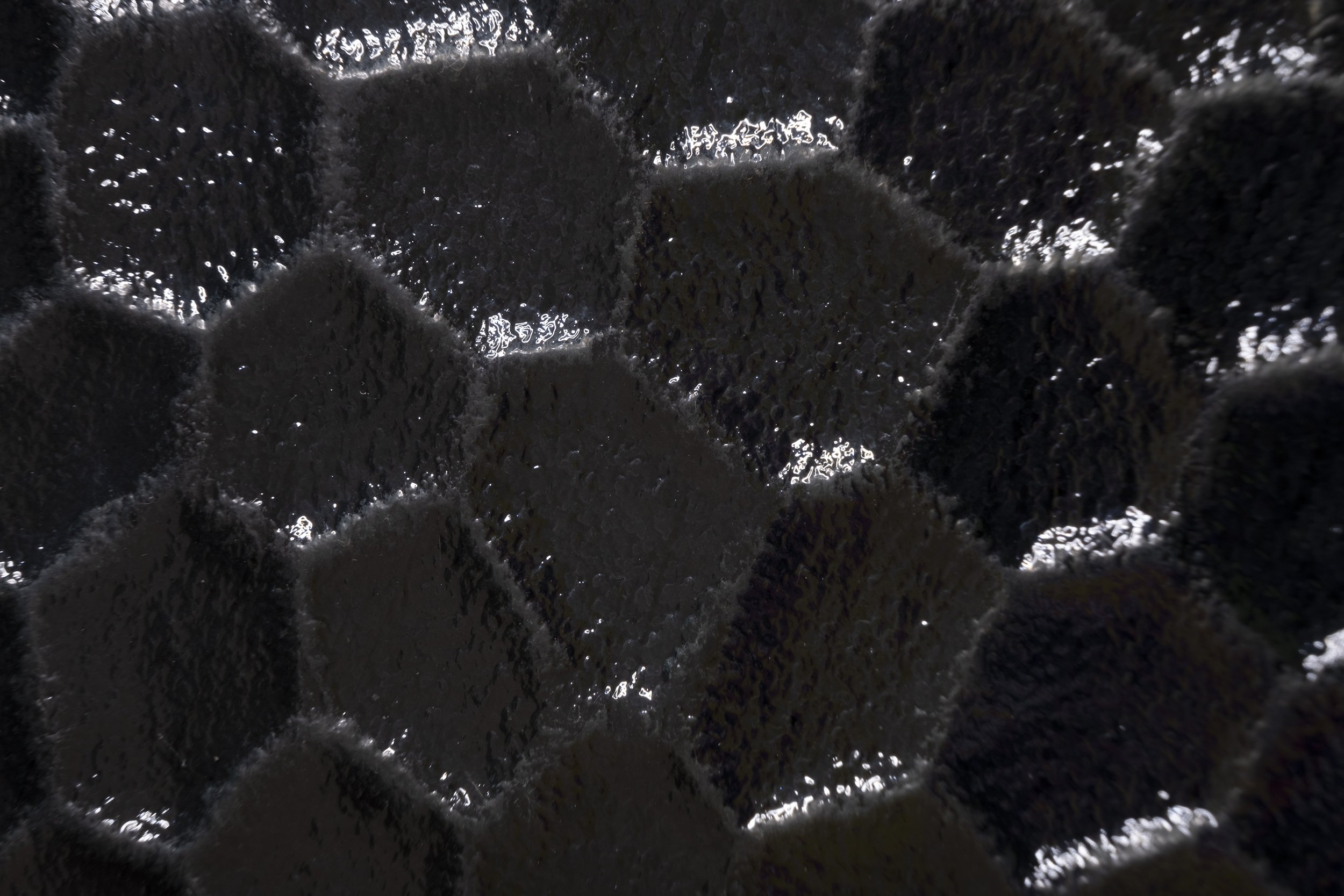Macro Abstract 1