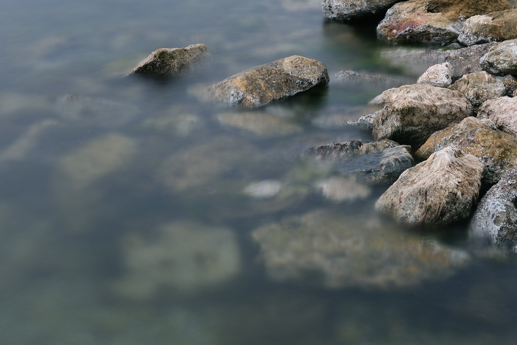 Nature XXIV