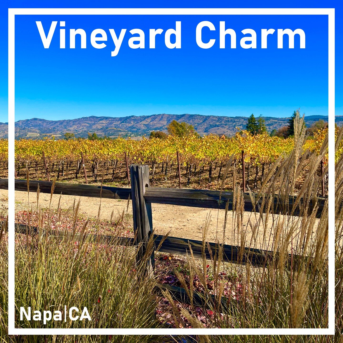Set within a 15-acre vineyard, the client asked us to follow three design principles: &ldquo;balance, restraint, and respect for terroir.&rdquo;

Water-conservation in this drought-prone region of the Napa Valley requires a thoughtful approach to pla
