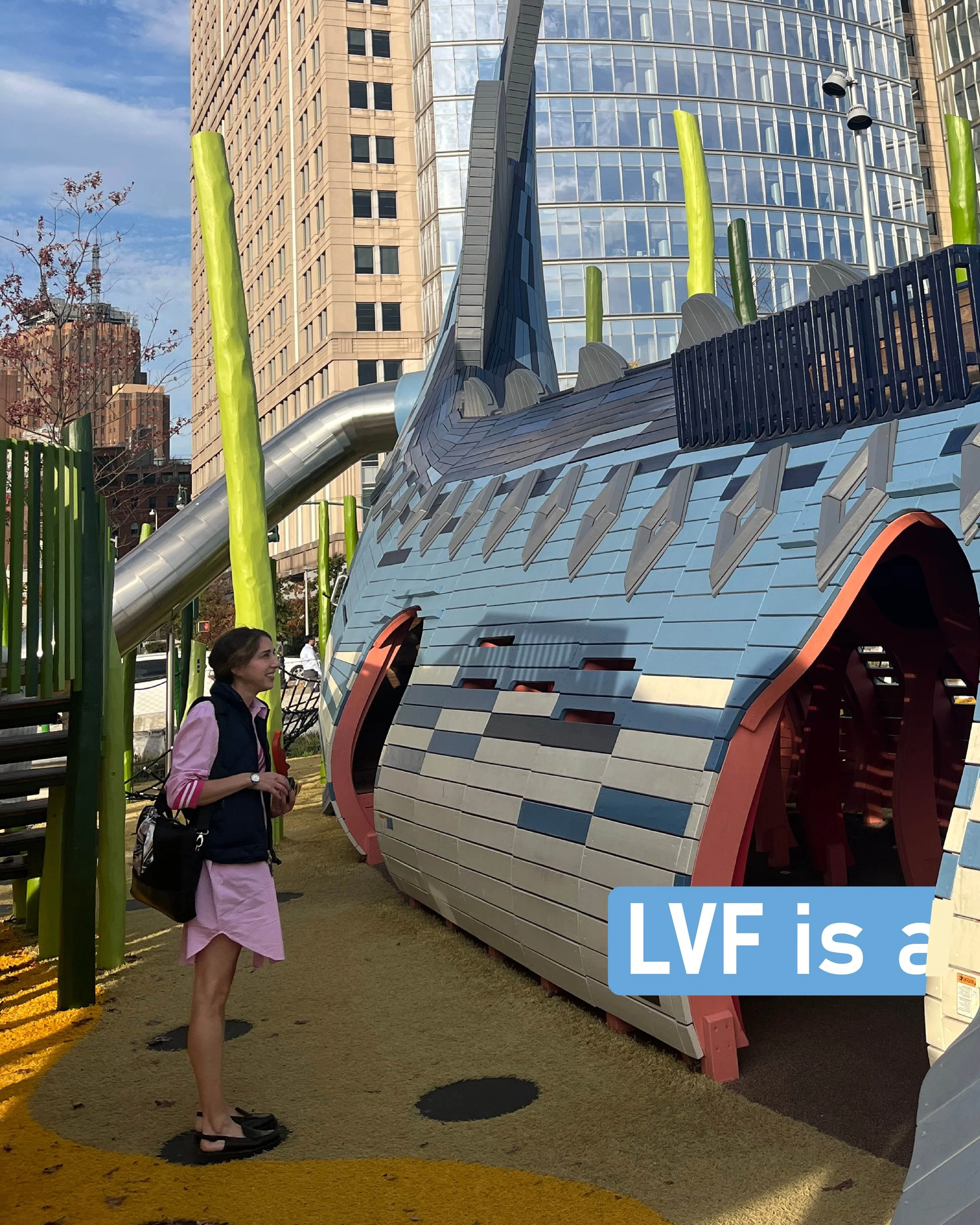 At LVF, every project - big or small - is led by a partner from the first conversation to opening day.

Together, our three partners have successfully delivered $750 million in public and private projects, combining technical precession with deep acc