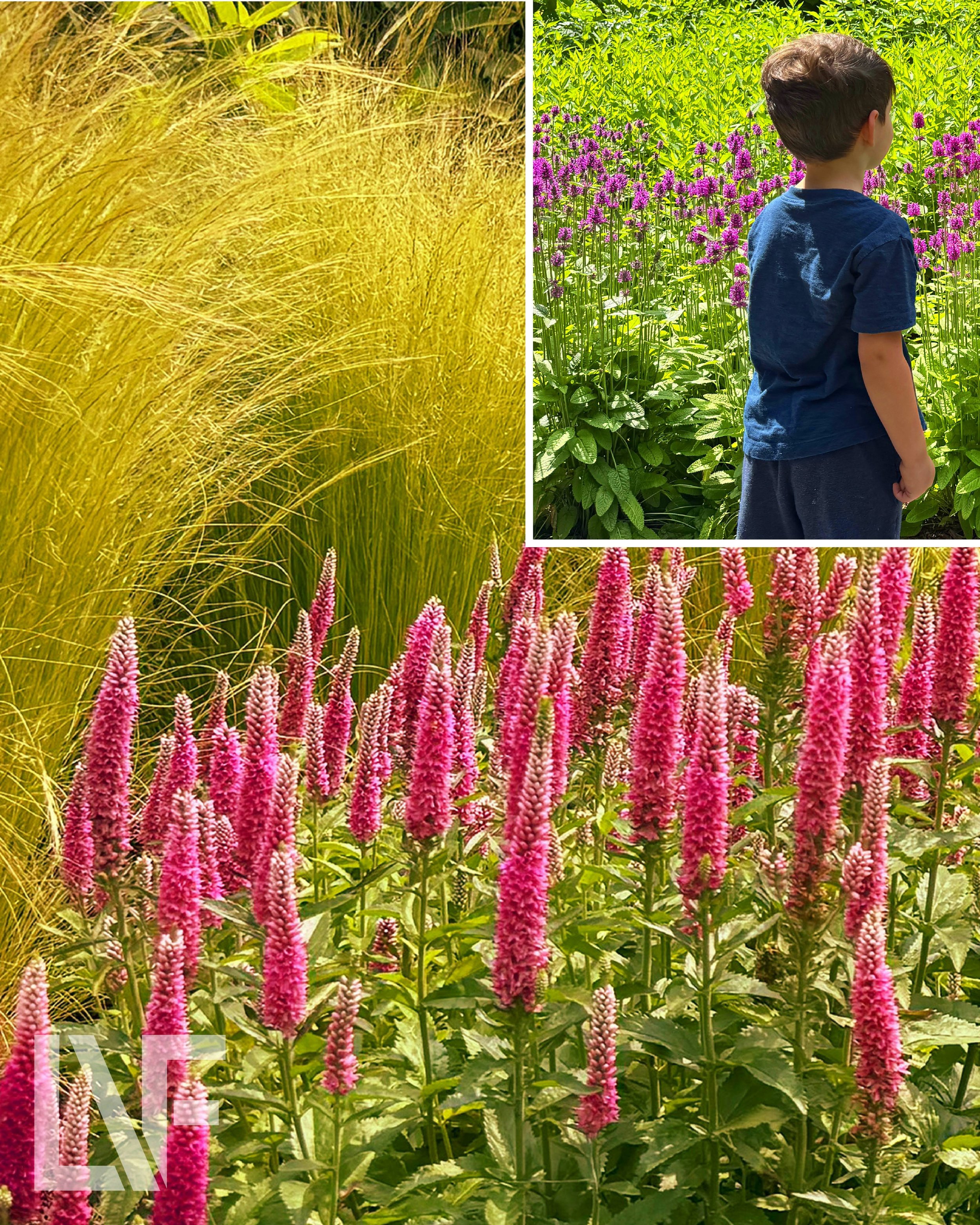 If your garden doesn&rsquo;t match your personality, we didn&rsquo;t do our job.

We live for the process of blending what you love with what the land needs. It's all about creating that perfect, effortless flow.
.
.
.
#LVF #LVFlandscapearchitects #G