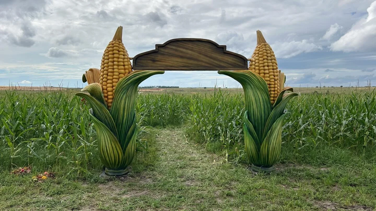 It is the start of corn maze season.

#fall #fallfestival #florida #floridaoutdoors #farmfestival #cornmaze #floridafarm #thealtemlife #southernhillfarms