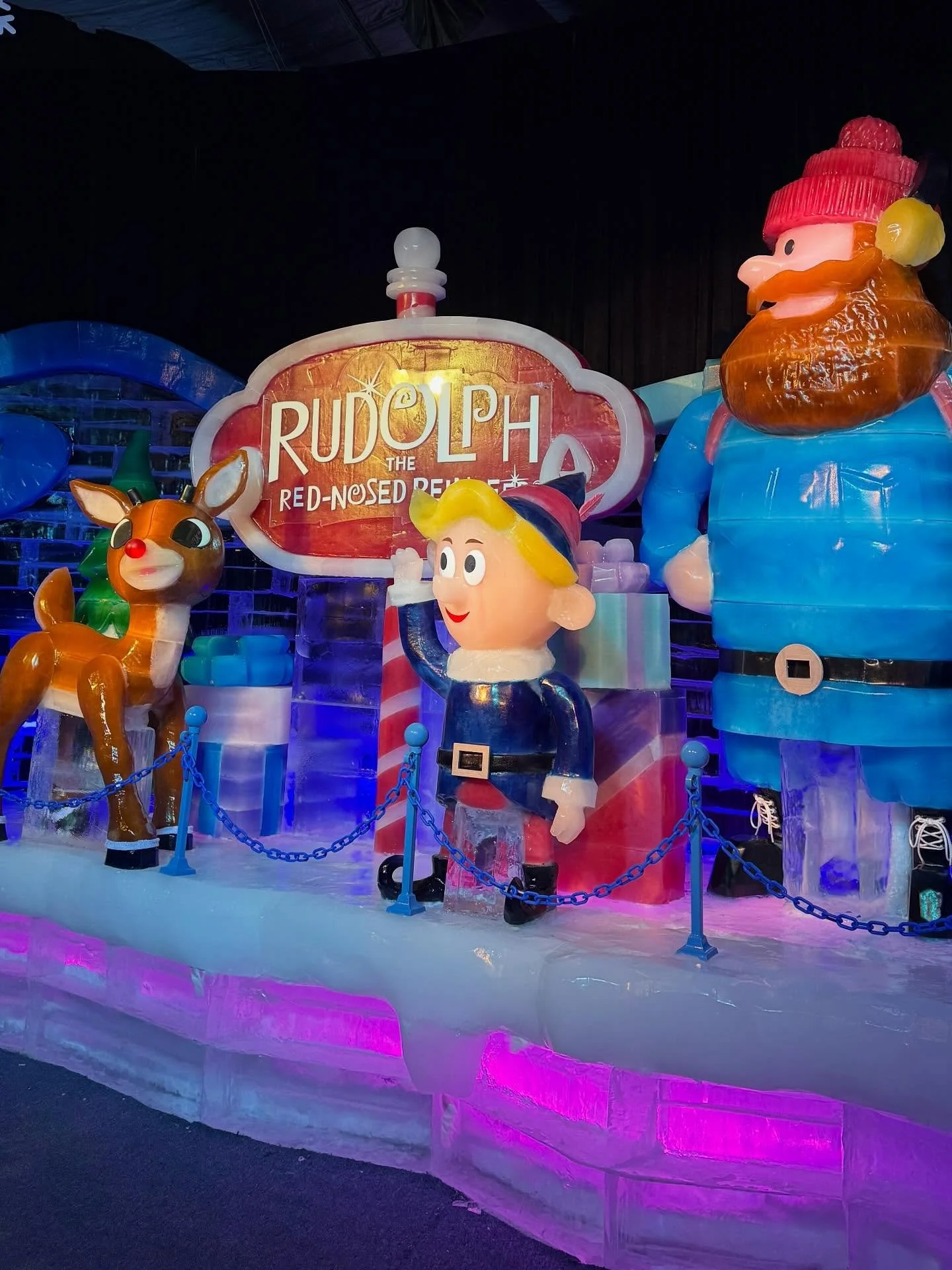We had so much fun at @gaylordpalms enjoying ICE! this year!