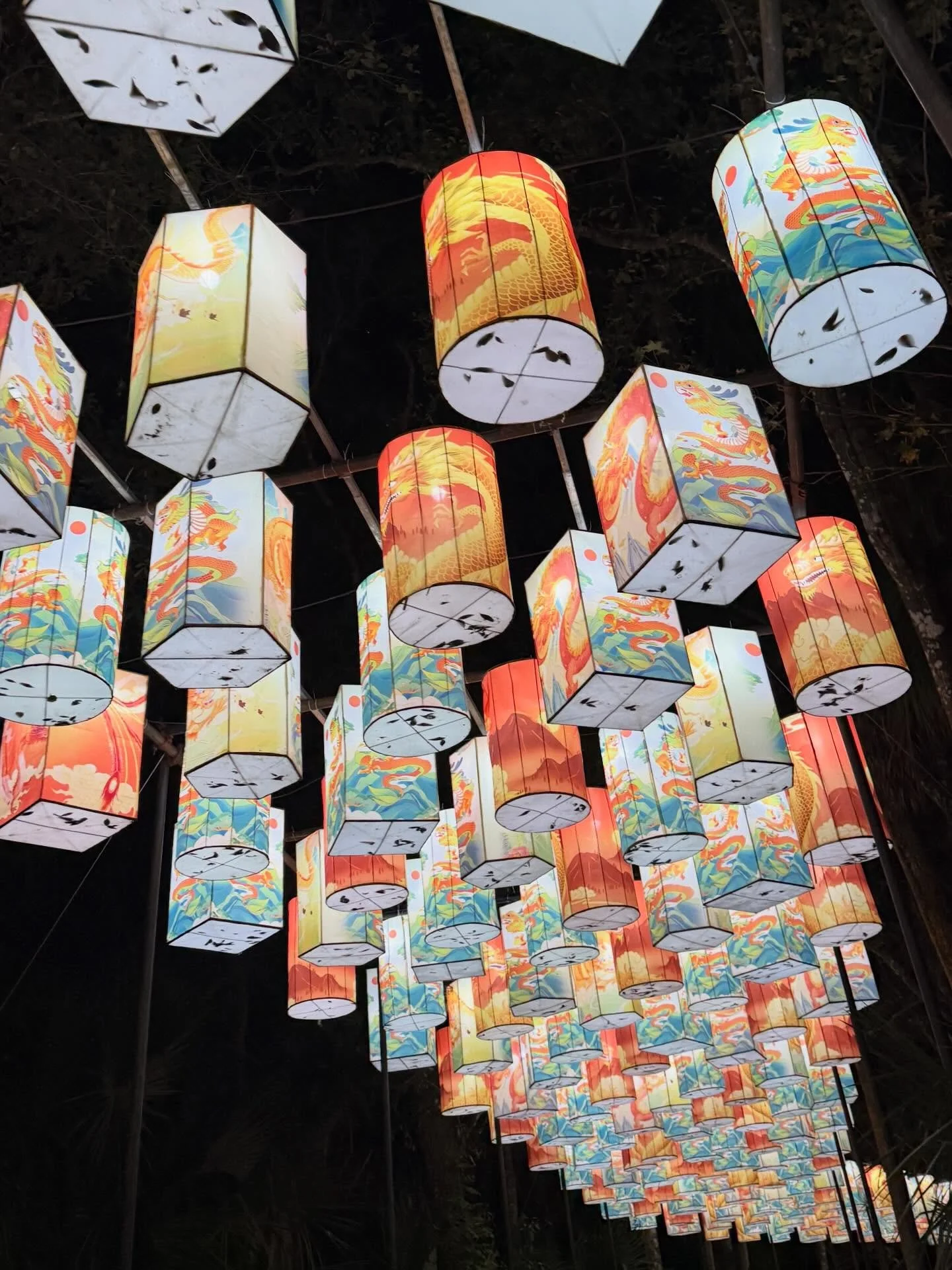 The Asian Lantern Festival at the Central Florida Zoo far exceeded our expectations!