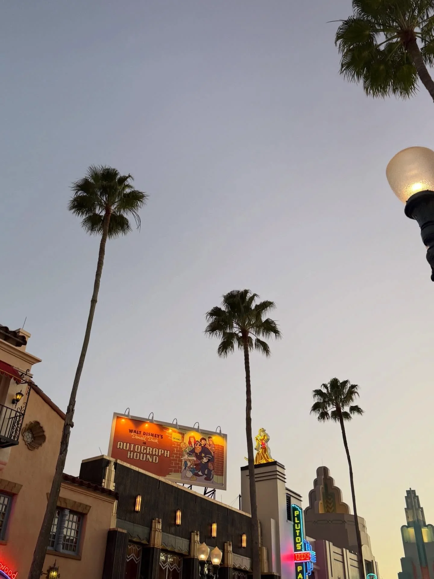 Friday night date night at the Brown Derby 

#datenight #brownderby #hollywoodstudios #disney #thealtemlife