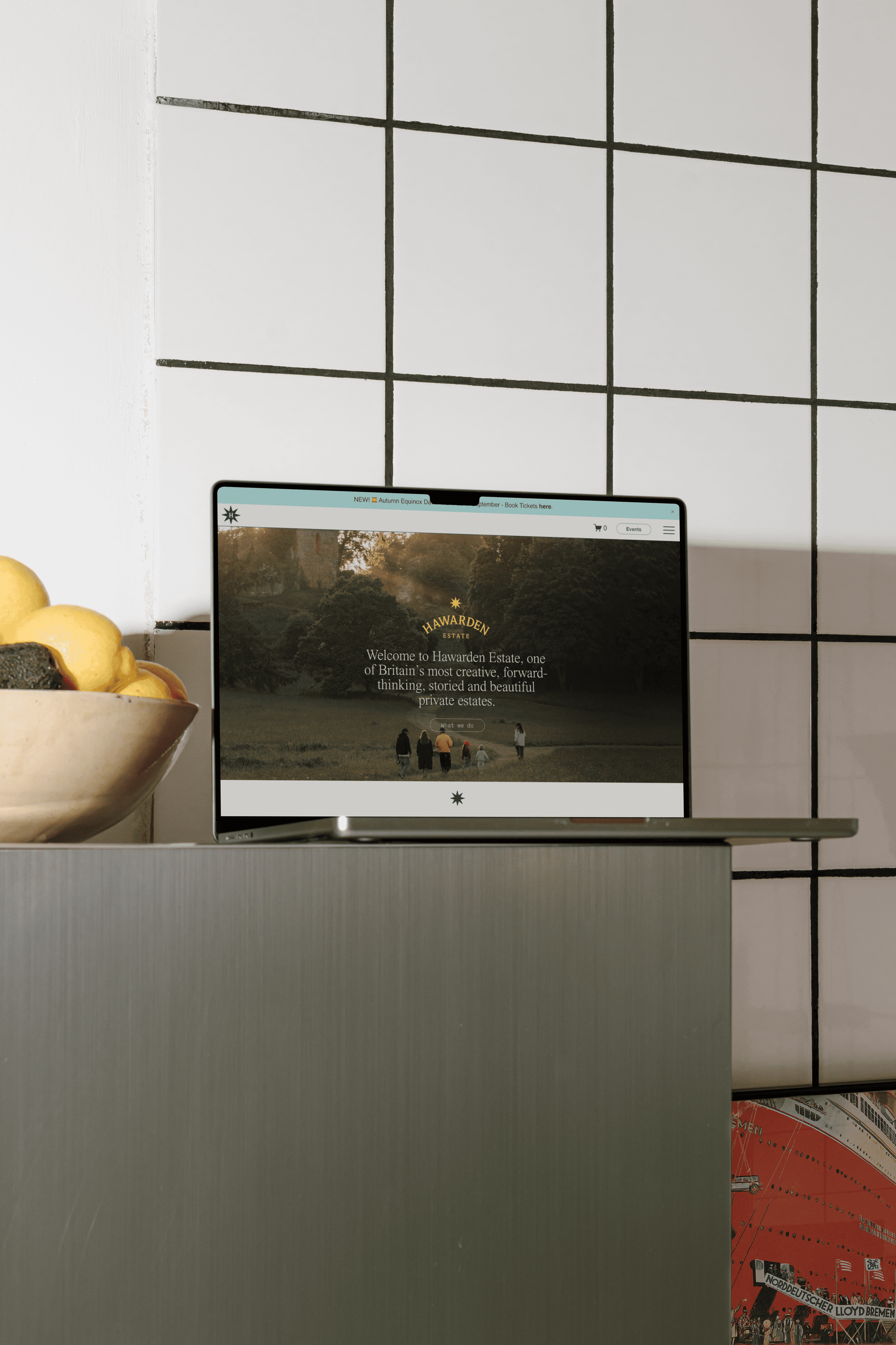 Asje Studio | Web Design & Development Studio | Ecommerce Stores