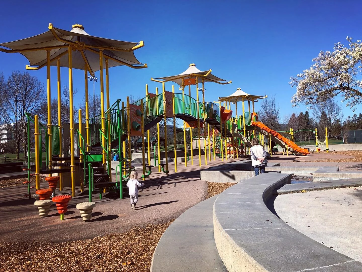 Central Park and Community Center — San Ramon