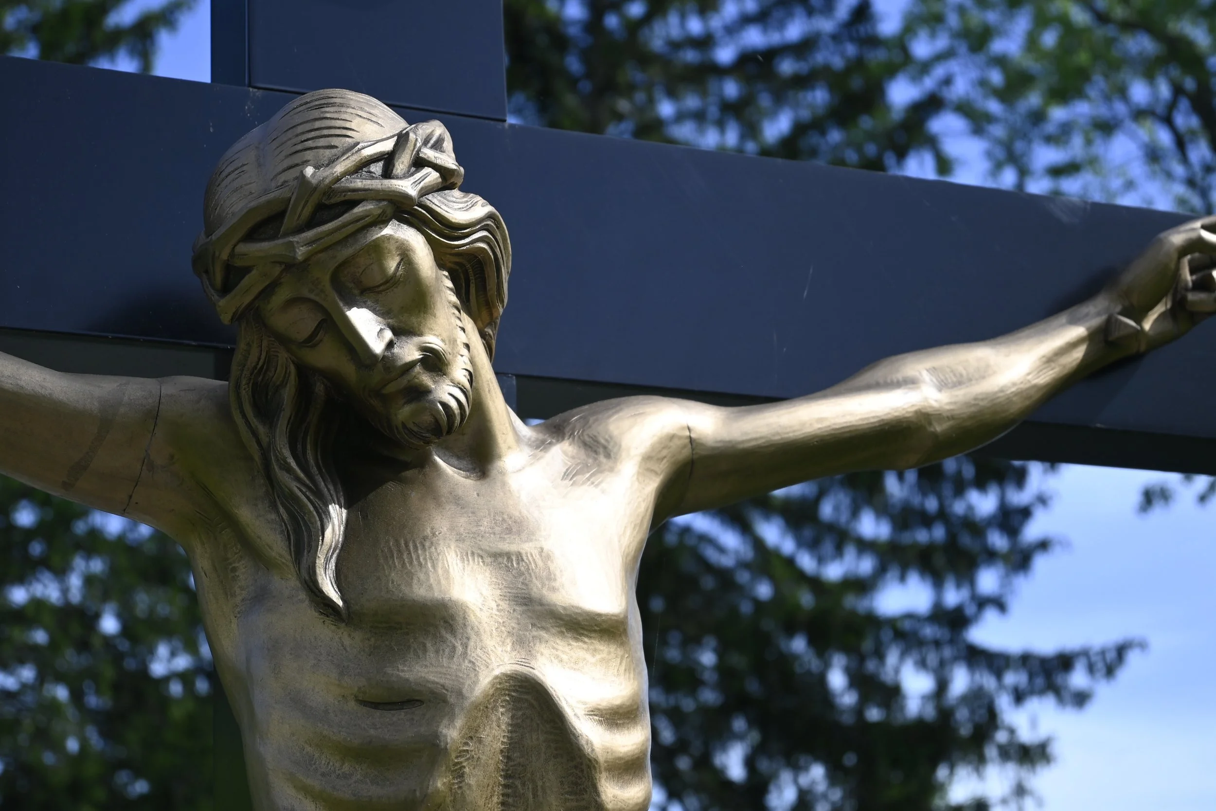 Reflection for the First Sunday of Lent