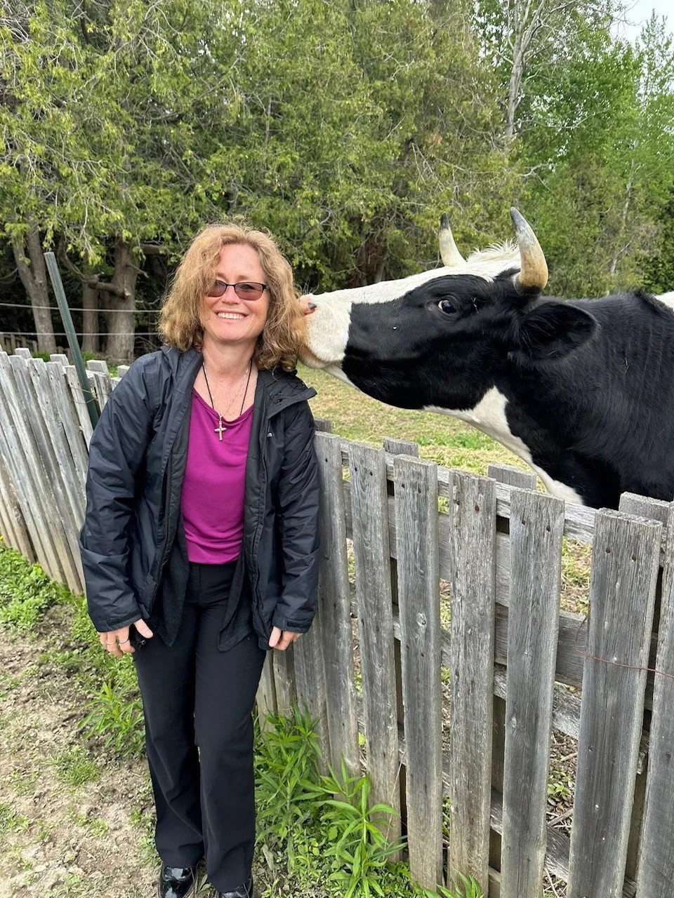 Pegasus Animal Sanctuary.jpg