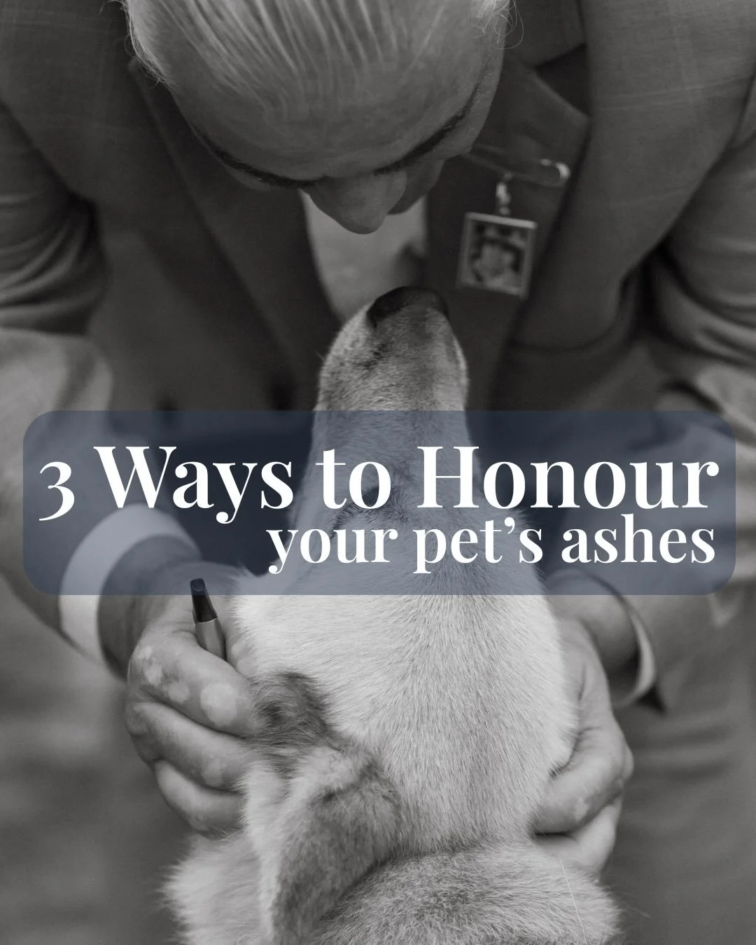 For the ones who wagged, meowed, chirped, and snuggled.

We remember you.

You mattered deeply.

🌱 Memorials aren&rsquo;t just for humans. And there&rsquo;s no &ldquo;right&rdquo; way to remember. Only what feels good to your heart.

#AwakeAshes #Pe