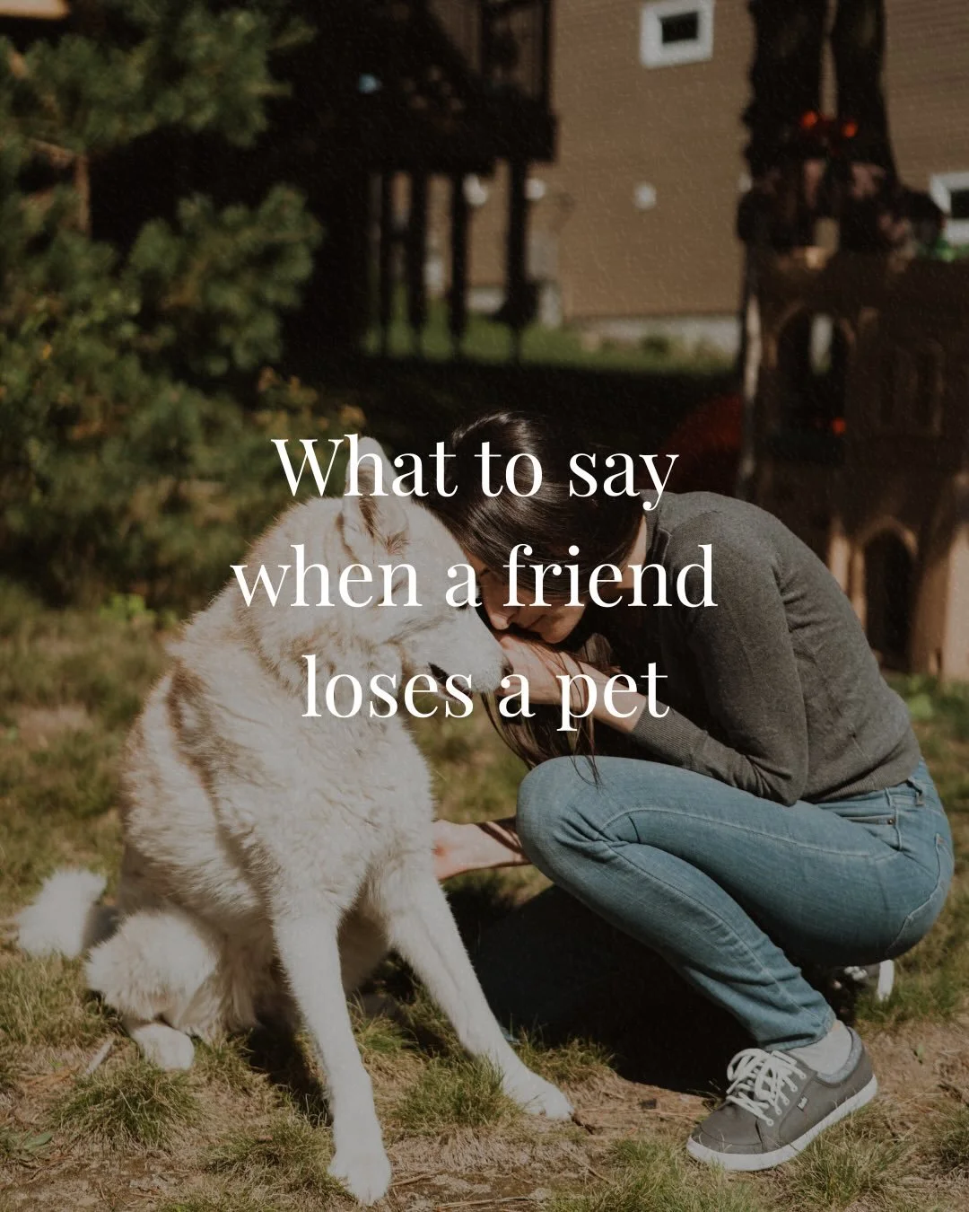 They weren&rsquo;t &ldquo;just a pet.&rdquo; They were family.

When someone loses a companion, specific questions help open the door to healing.

While a general &ldquo;sorry for your loss&rdquo; is probably appreciated, try one of these instead:

	