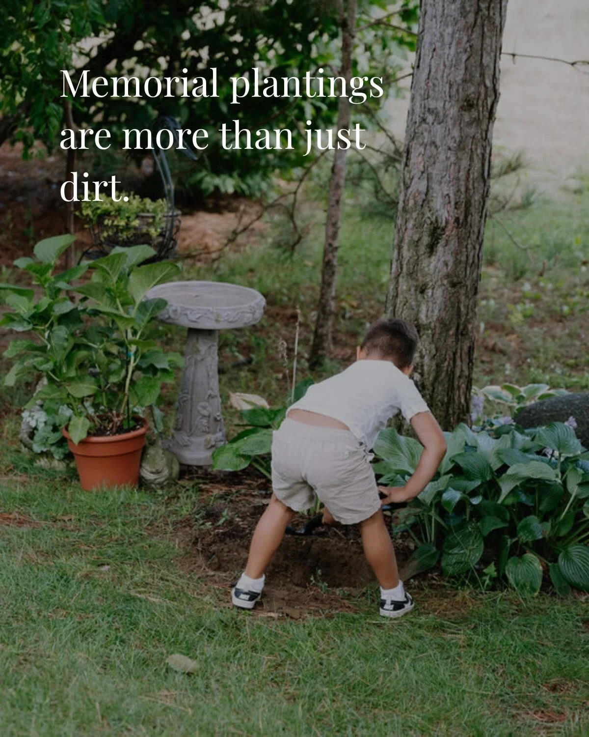 Sometimes the most meaningful memorial isn&rsquo;t a big gesture.

It&rsquo;s a backyard that smells like rain.
A garden with their favourite flower.
A splash of green you can look to every day.

Not somewhere you have to travel to. Just somewhere yo