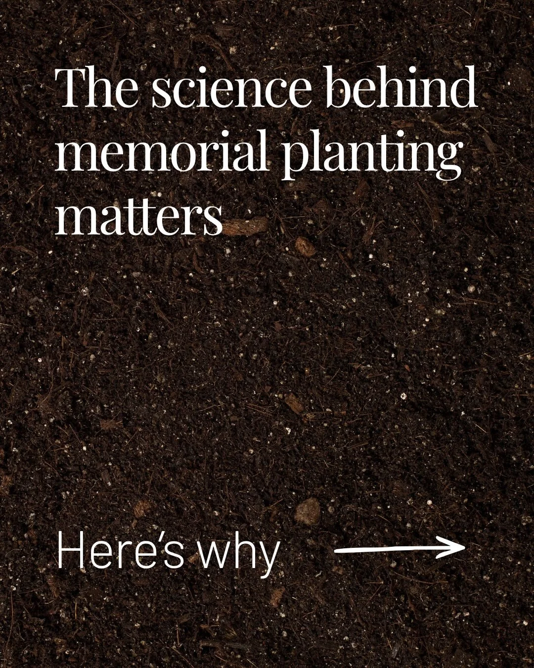 This share, from a trusted funeral home partner, breaks our hearts every time we hear it:

&ldquo;I&rsquo;ve experienced more than one occasion where a family planted a tree with their loved one&rsquo;s cremated remains&hellip; and the tree died.&rdq