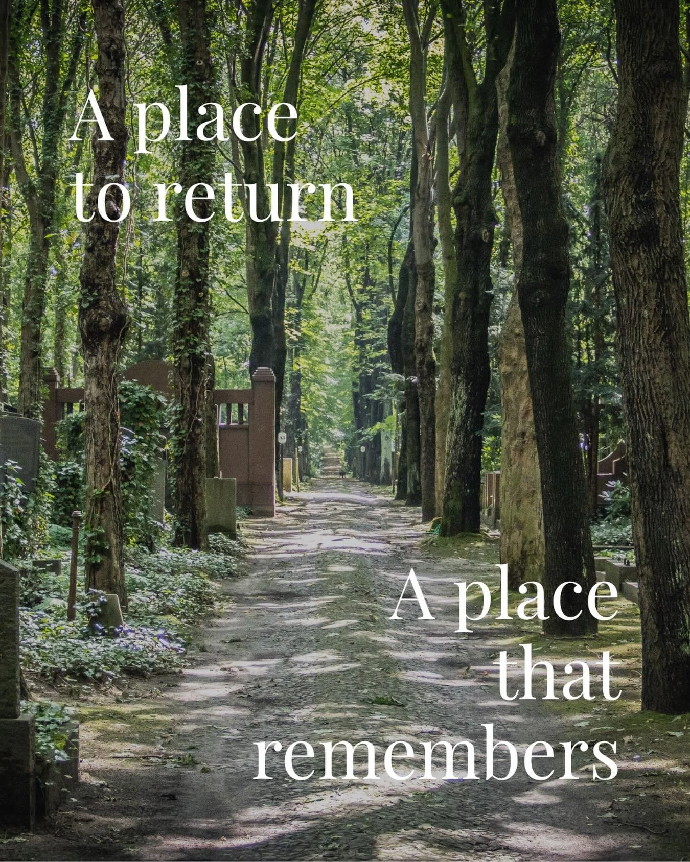 Not everyone wants an urn.

Sometimes grief is complicated enough, without the extra decisions. Sometimes going back to the earth, in a way that&rsquo;s simple and dignified, is the most meaningful choice.

Sound relatable?

Our cemetery partner in @