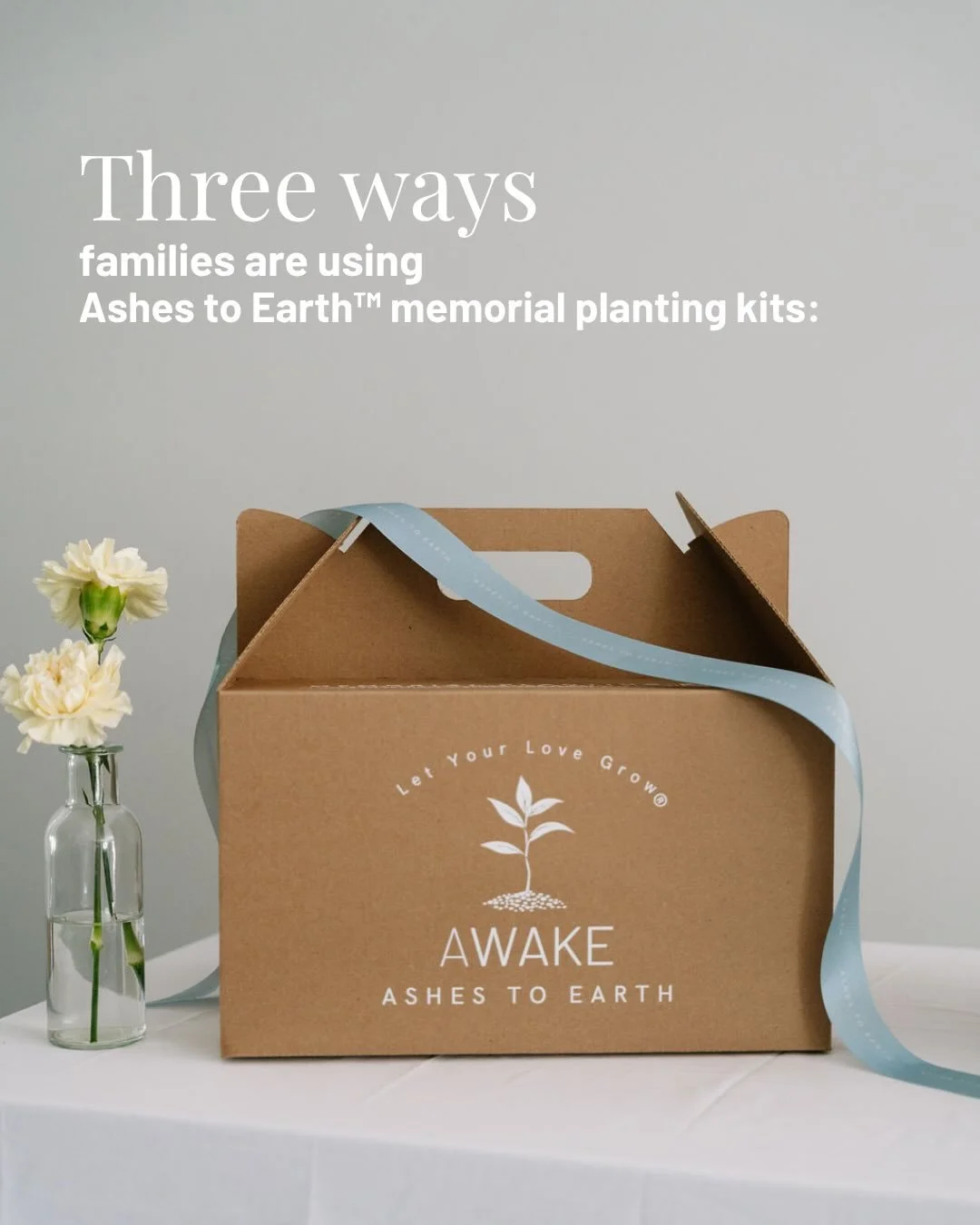 Three ways families are choosing to remember this spring:

🌳 Planting a memorial tree &mdash; in the backyard, at the cottage, on family land

🌸 Creating a memorial garden &mdash; with flowers, herbs, or a quiet space to return to

🌲 Scattering in