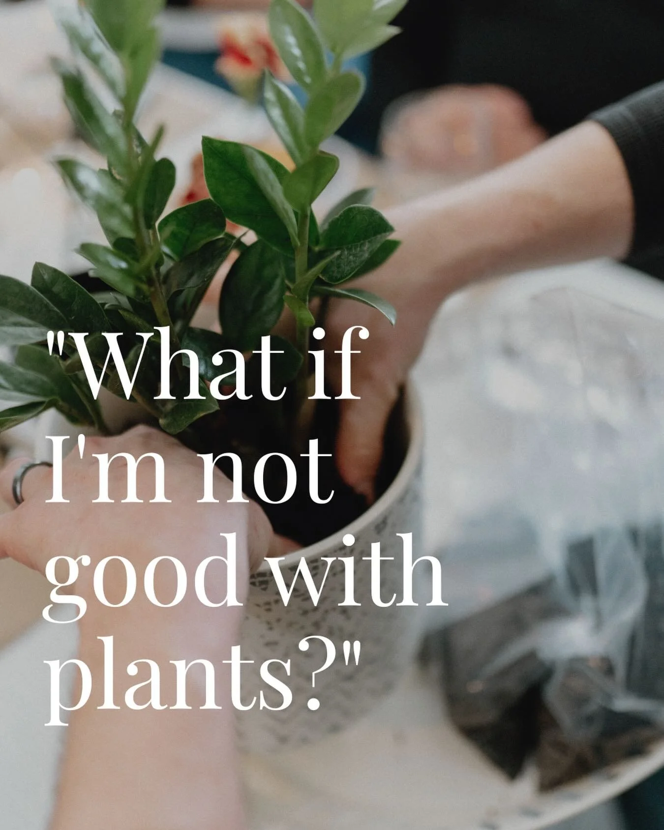 &ldquo;What if I&rsquo;m not good with plants?&rdquo;

Honestly? You don&rsquo;t have to be.

One of the simplest Ashes to Earth&trade; memorial options is spreading remains at the base of an existing tree, or outdoor space that already means somethi