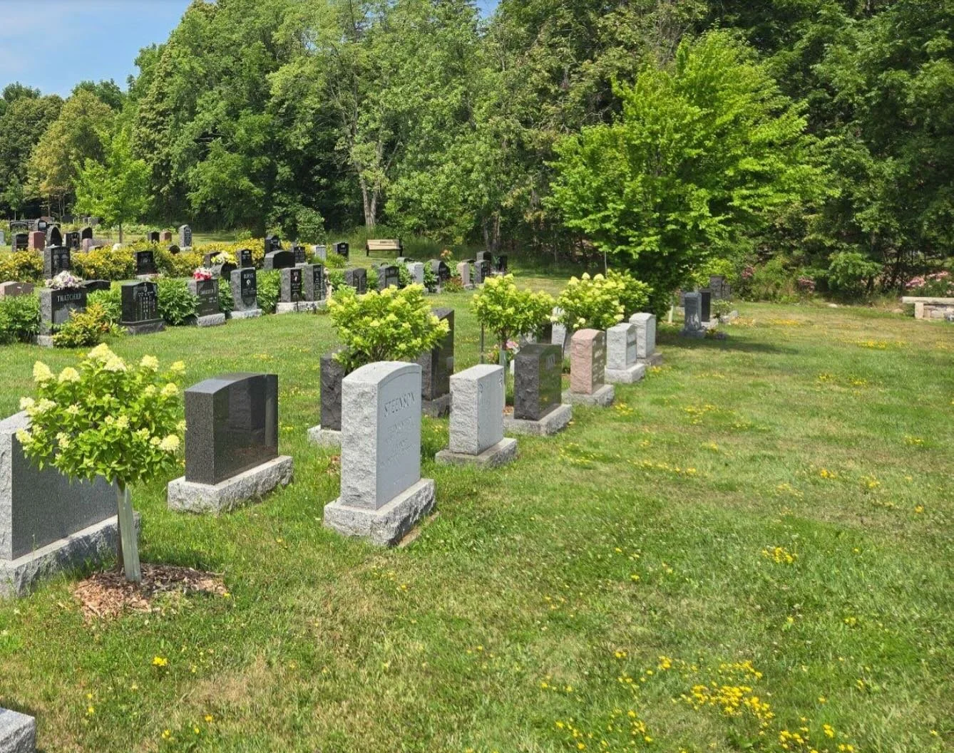 Canada&rsquo;s cremation rate just hit 76%, and it&rsquo;s still climbing. 🌱

For cemeteries, that&rsquo;s more than a statistic. It&rsquo;s a shift in what families are asking for, and in how cemeteries need to operate to stay relevant and financia