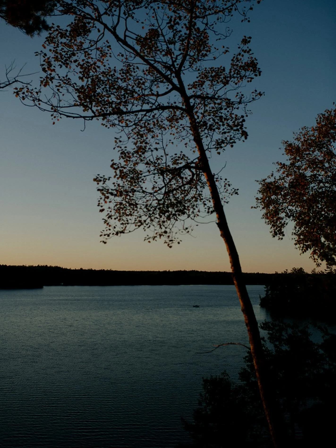 Can a memorial actually offset the carbon footprint of cremation? 🌲

With the right tree, planted the right way &mdash; yes. A mature memorial tree starts absorbing CO₂ right away, and can fully offset the emissions of a cremation in as little as 5.