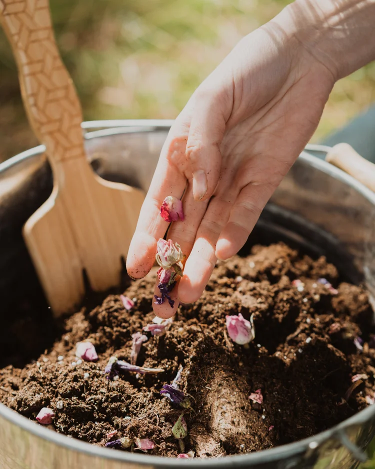 How to Neutralize Cremation Ashes for Planting — AWAKE
