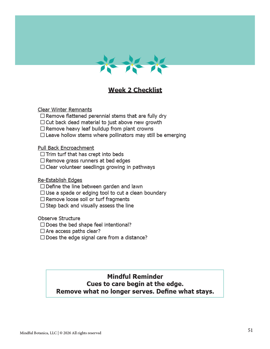 week 2 checklist.png