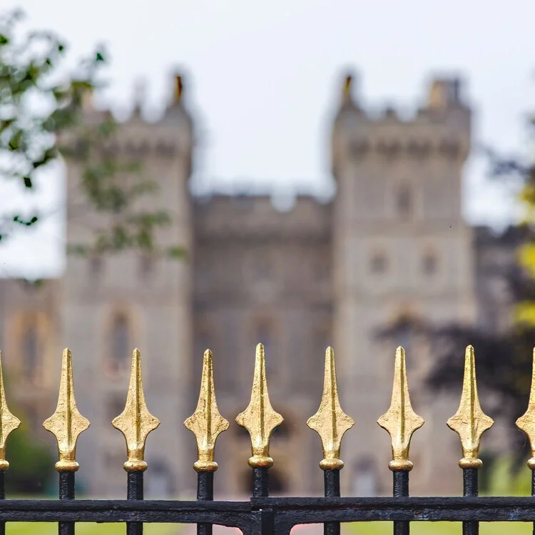 What we can learn from Harry and Meghan