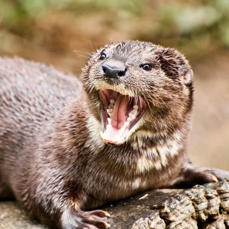 25 Expert-Approved Anger Management Tools to Use When You’re Pissed Off