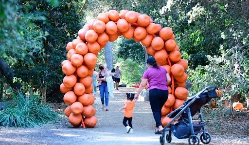 punpkin 3.jpg