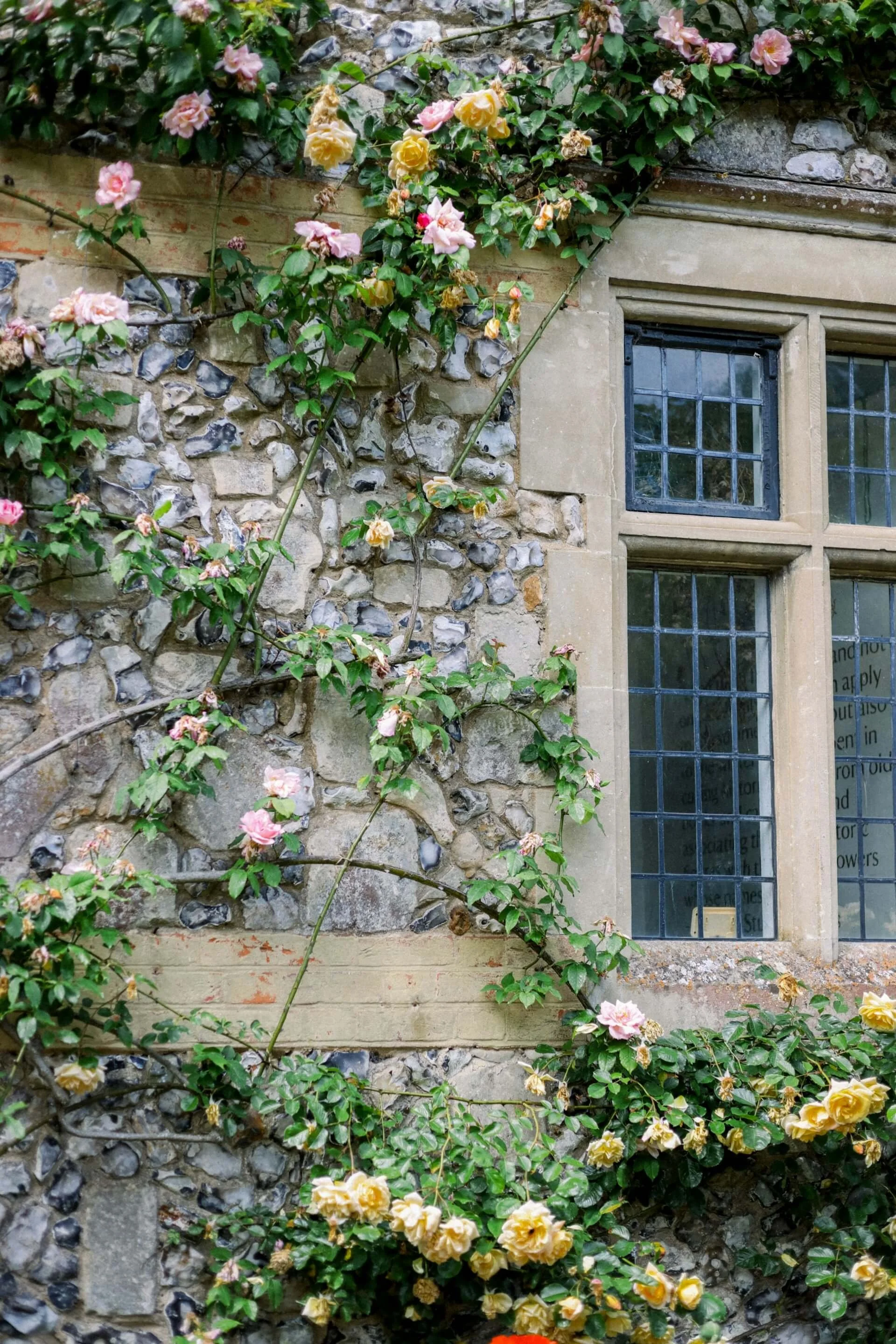 A stone wall with a window, partially covered by a climbing rose bush with pink and yellow roses.