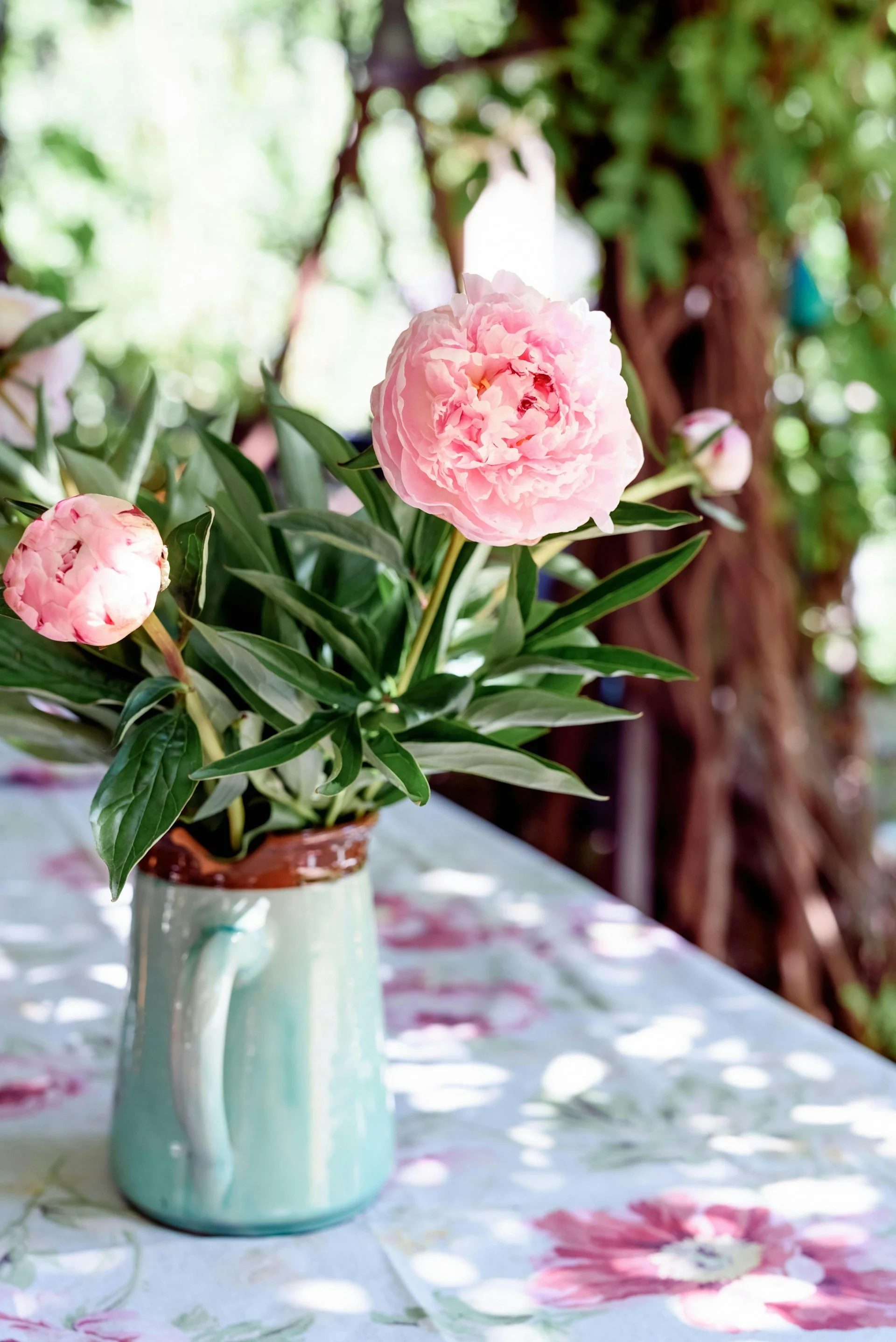 A pink peony flower in a light blue ceramic vase on a table with a floral tablecloth, with a blurred background of green foliage and tree trunks.