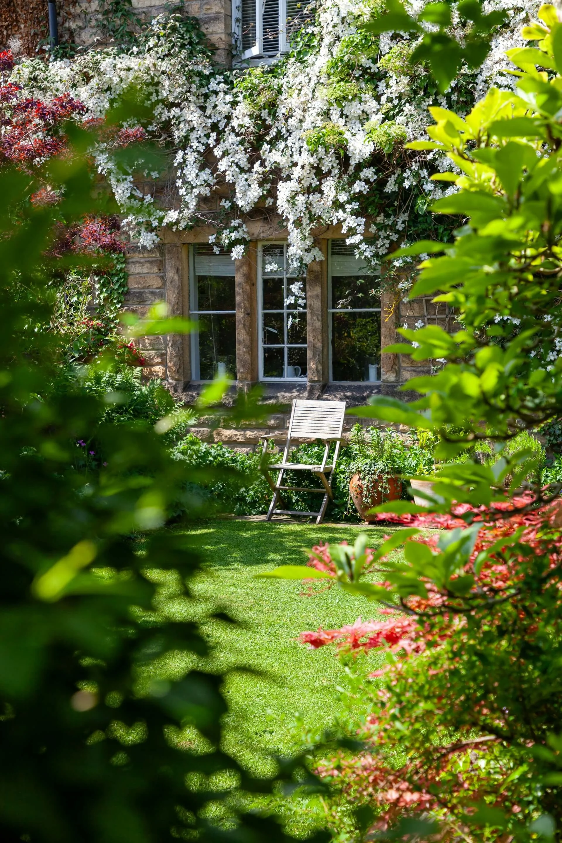 A lush garden with green grass, pink and red flowering bushes, and a stone house with windows covered by blooming white flowers and green vines. There is a wooden chair and potted plants in the garden.