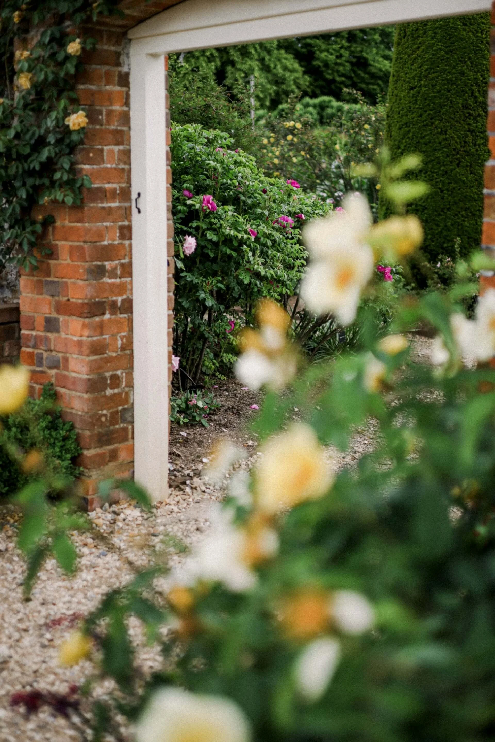 A garden scene viewed through an opening in a brick wall with a white border. The garden contains various green bushes and flowering plants, with trees in the background. The ground is covered with small light-colored stones and soil.