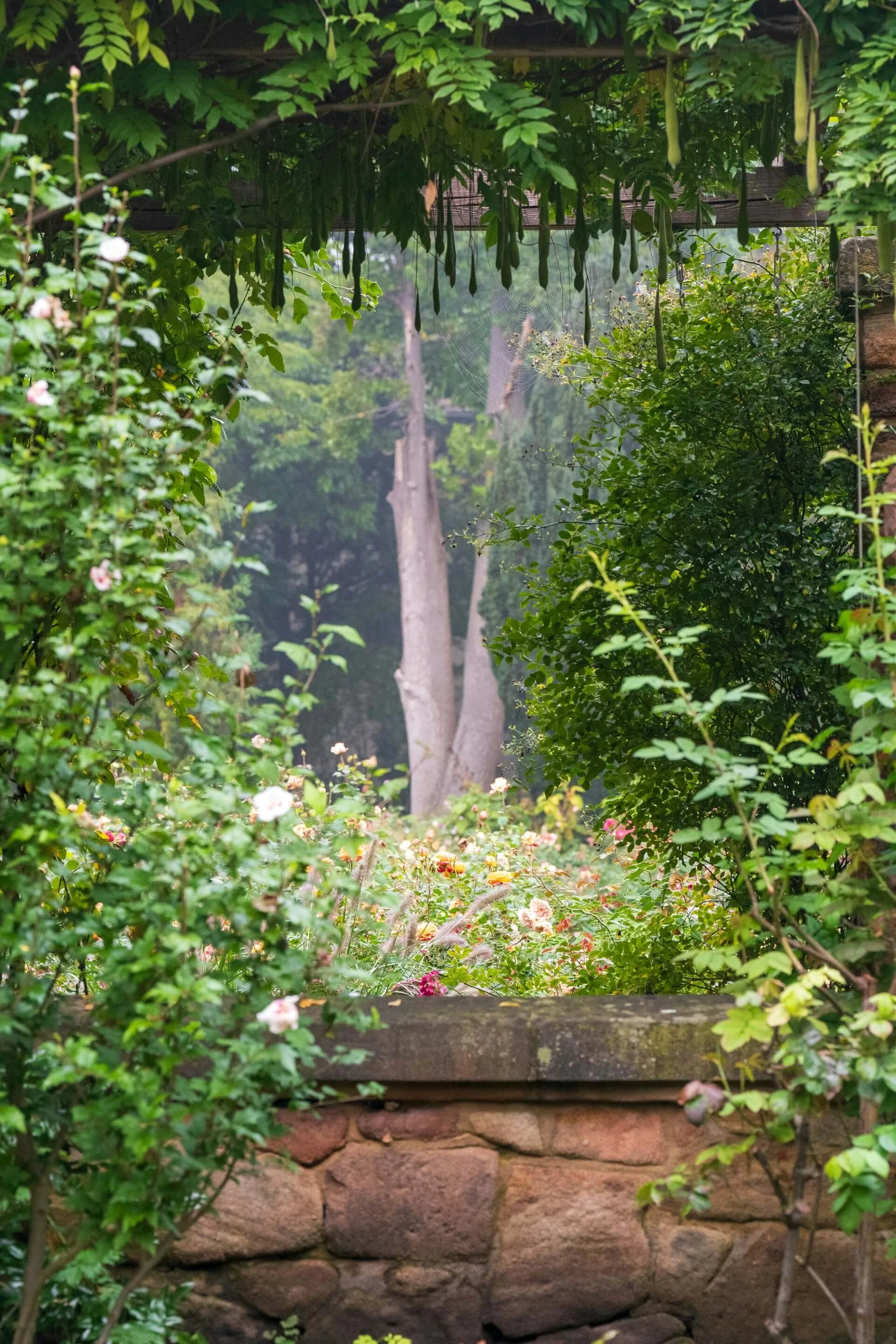 Garden view with green foliage, flowering bushes, trees in the background, and a brick wall with a wooden platform above.