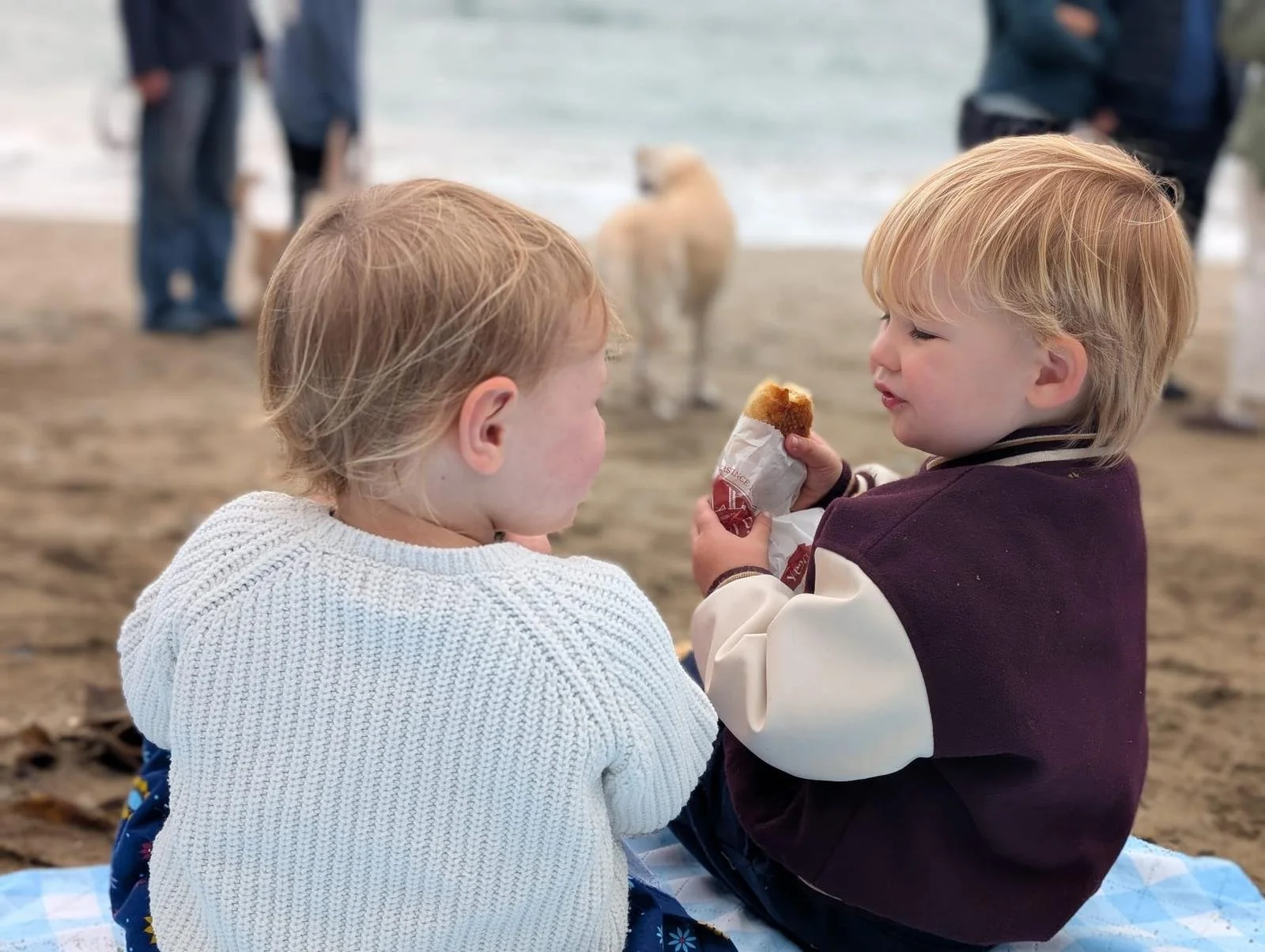 WhatsApp Image 2025-10-12 at 17.39.00 (10).jpeg