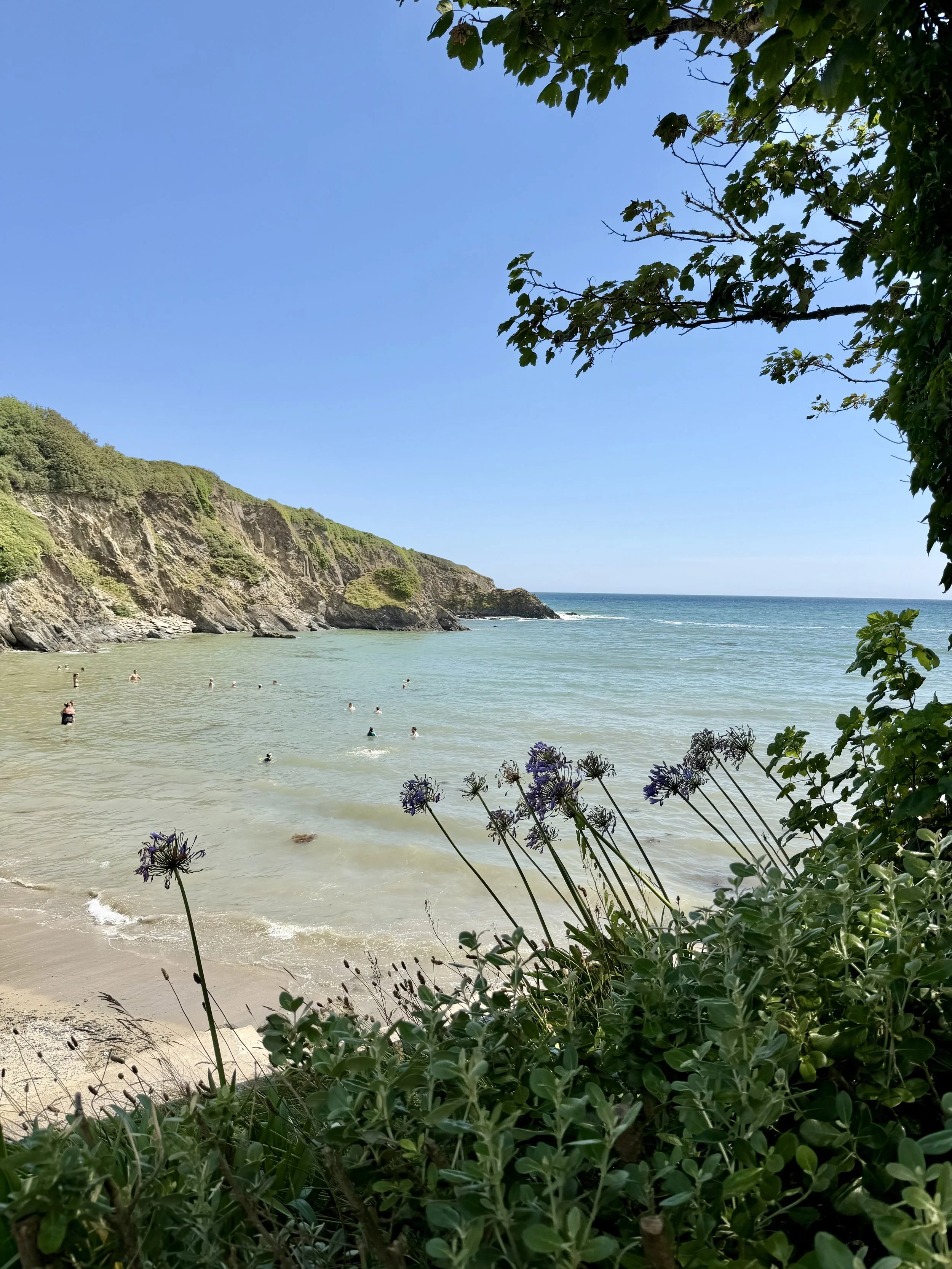 IMG_2224.jpeg