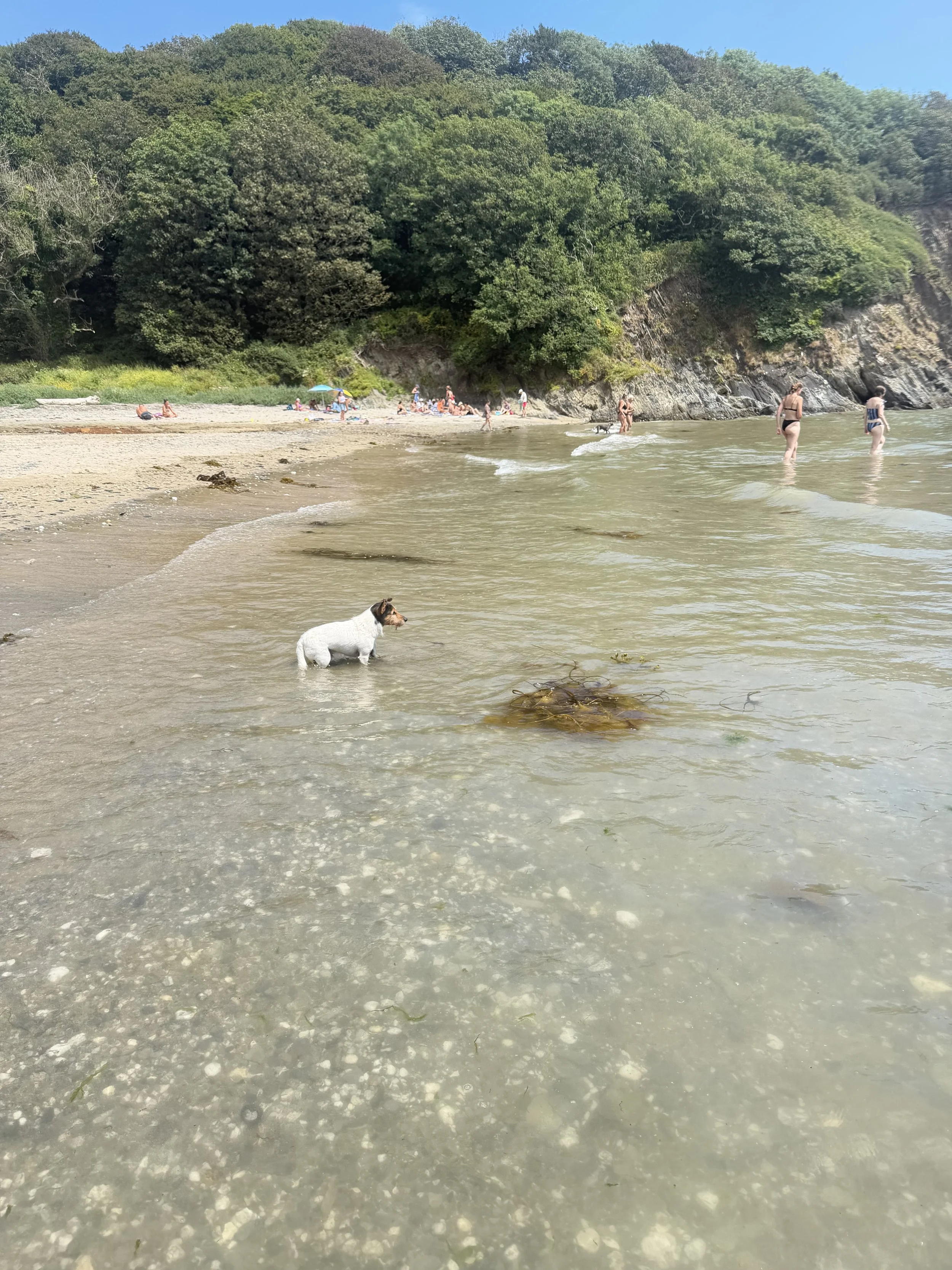 IMG_2215.jpeg