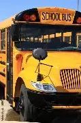 Bus Driver Appreciation Week
