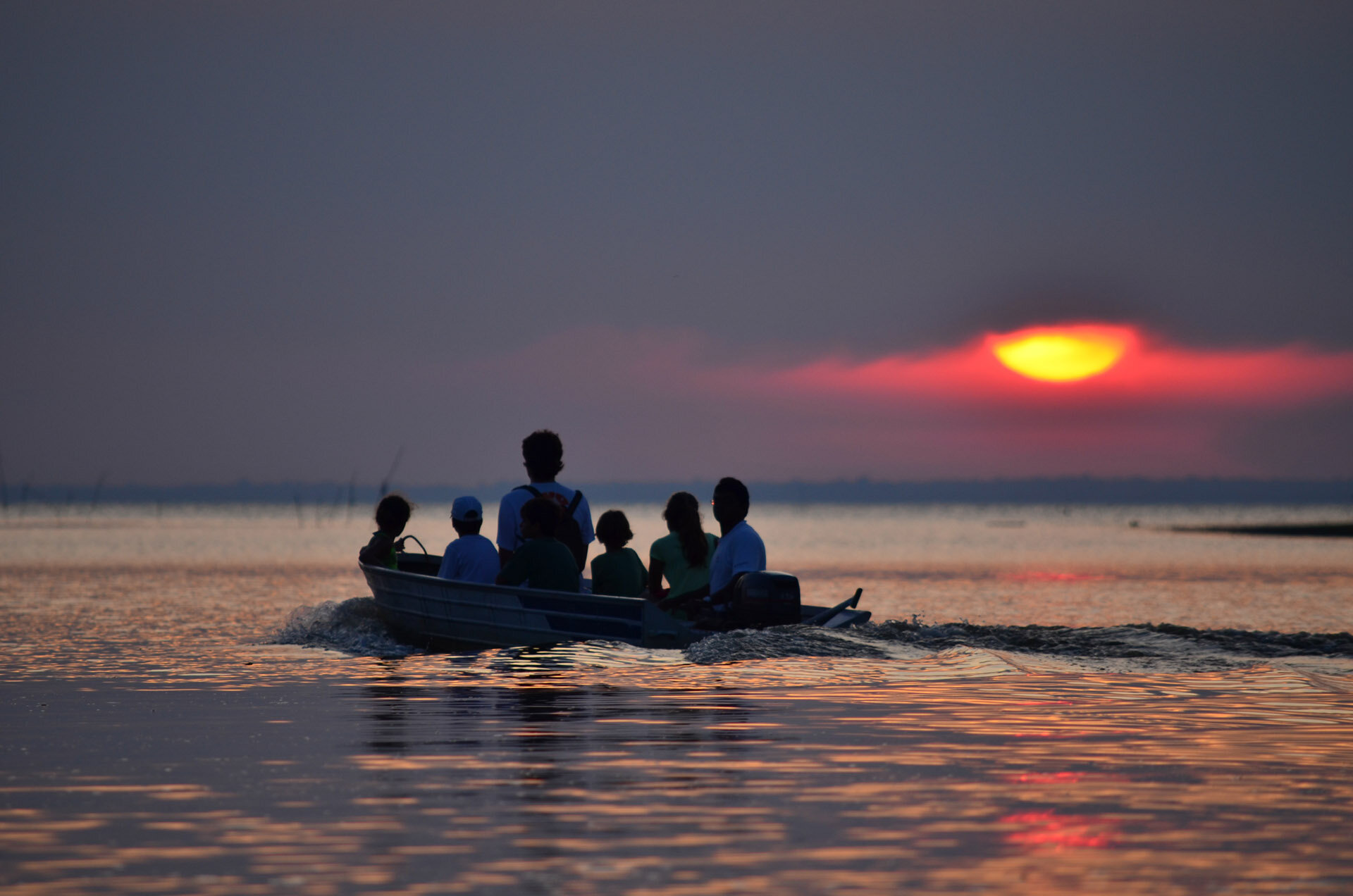 amazon-tapajos.jpg