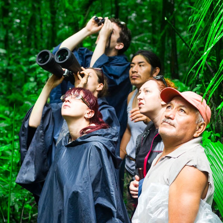 Amazon-Odyssey-Brazil-Highlights-Excursion.jpg