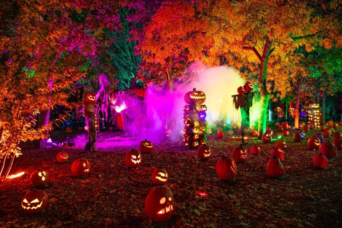 Magic of the Jack O’Lanterns