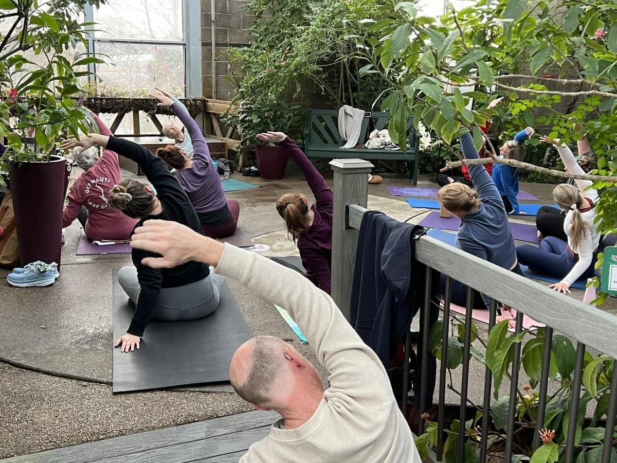 Rainforest Yoga